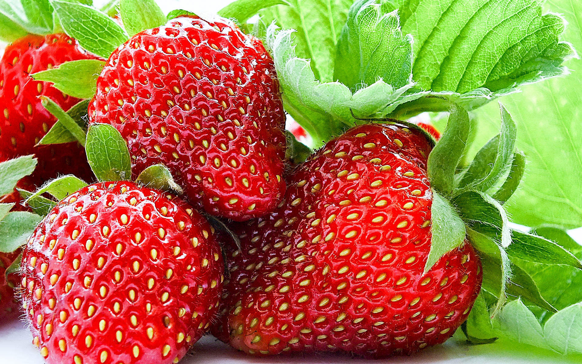 Strawberry: Fruits are cultivated for the delicious taste and attractive appearance. 1920x1200 HD Background.