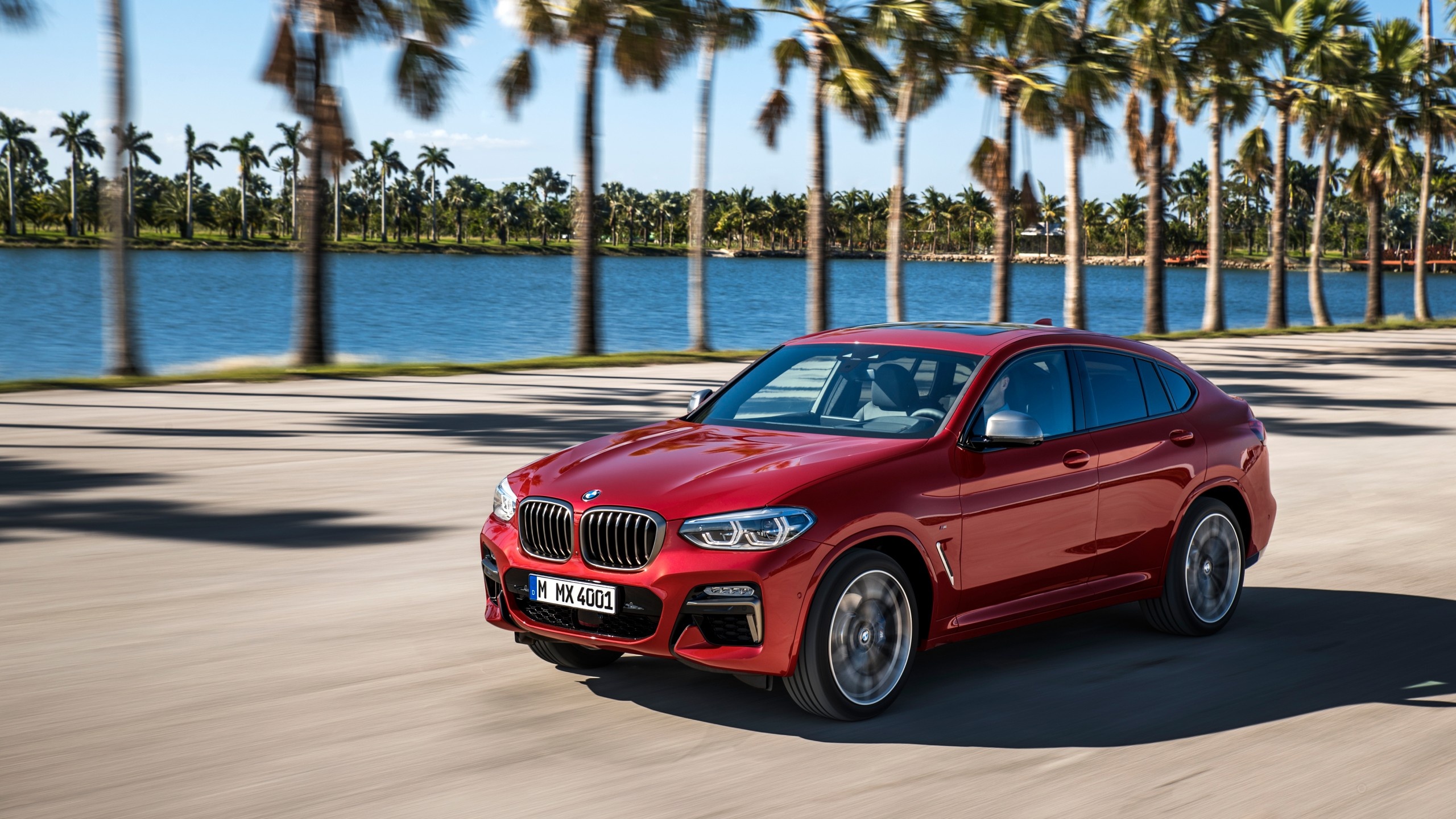 BMW X4, Bold styling, Powerful performance, Superior craftsmanship, 2560x1440 HD Desktop