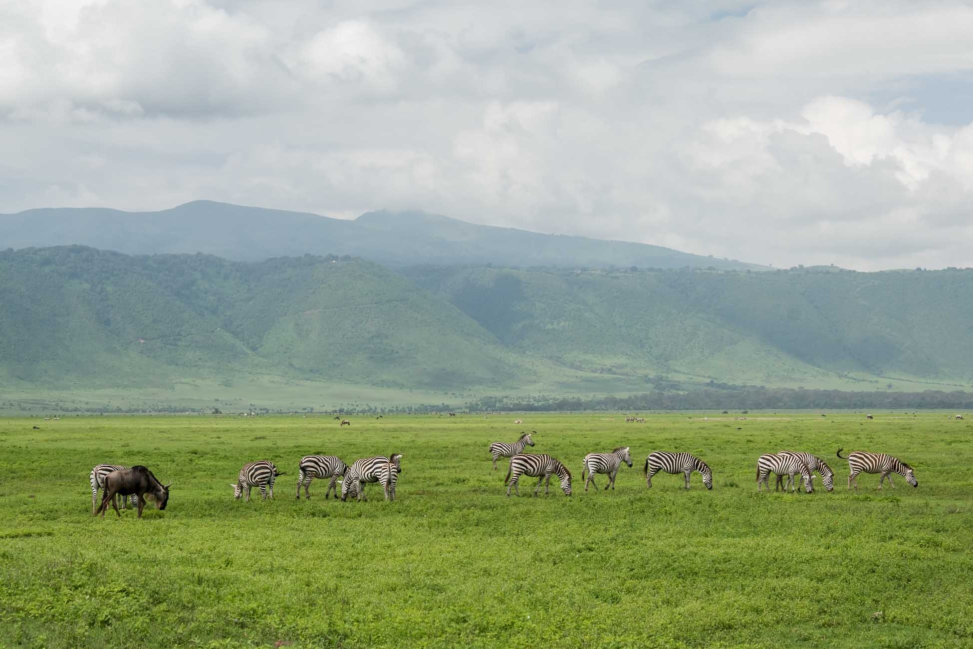 Ngorongoro Crater, Protected area, Tanzania, Natural beauty, 1950x1300 HD Desktop