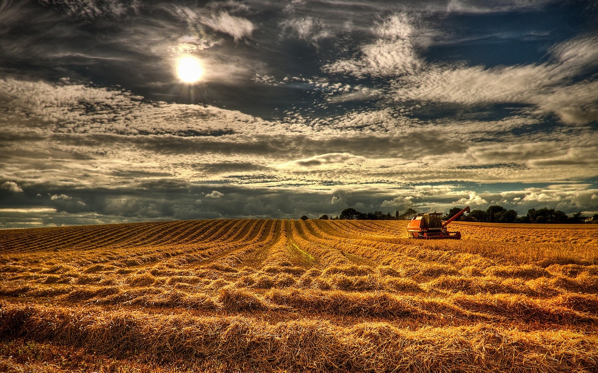 Northen Ireland, England Field, Grain Harvest, Landscapes, 1920x1200 HD Desktop