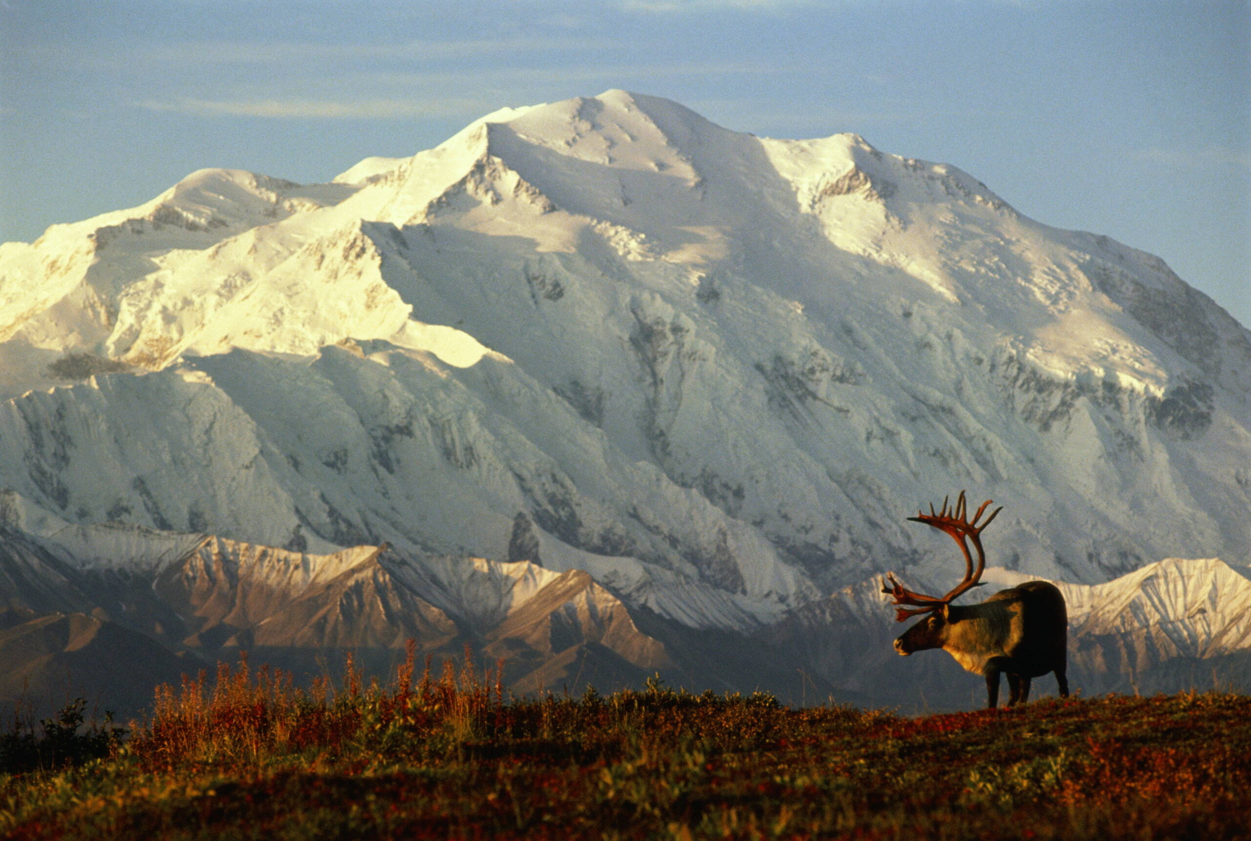 Denali National Park, Travels, Preserve, Mapquest, 2560x1730 HD Desktop