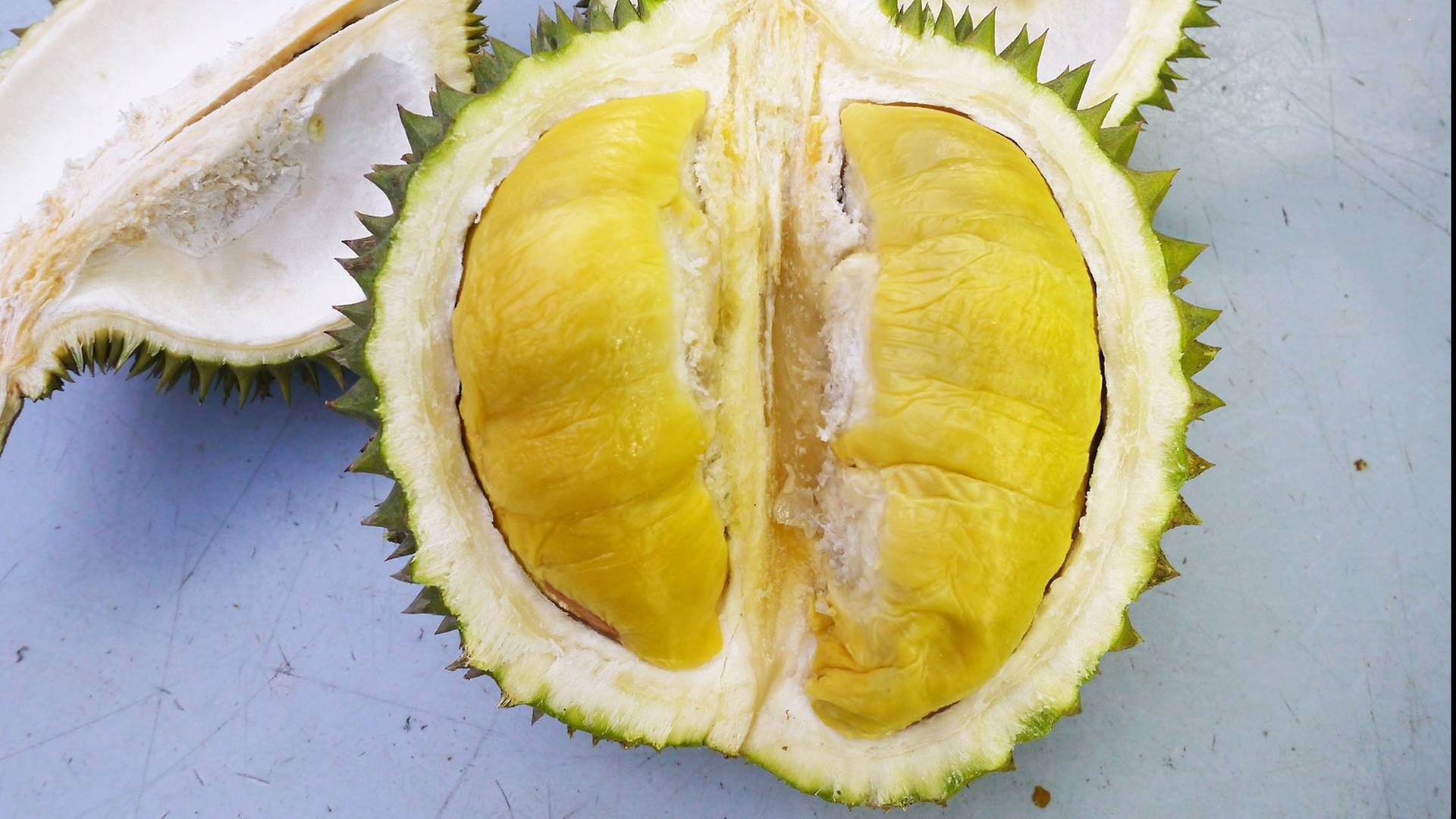 Durian: The genus is placed in the family Bombacaceae, Fruit. 1920x1080 Full HD Background.