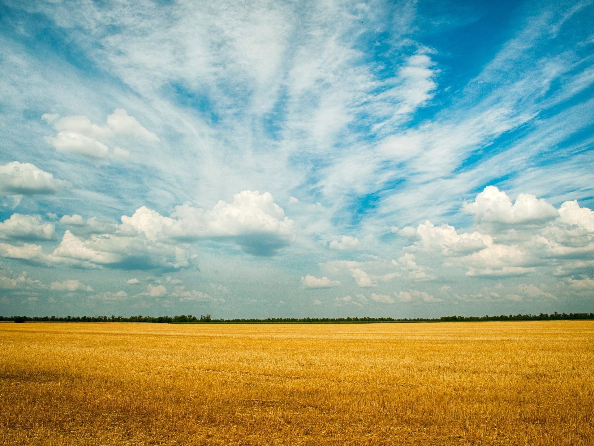 Grassland: Farm field, Nature, Plain, Meadow, Prairie, Steppe, Flatland, Agricultural land. 1920x1440 HD Wallpaper.