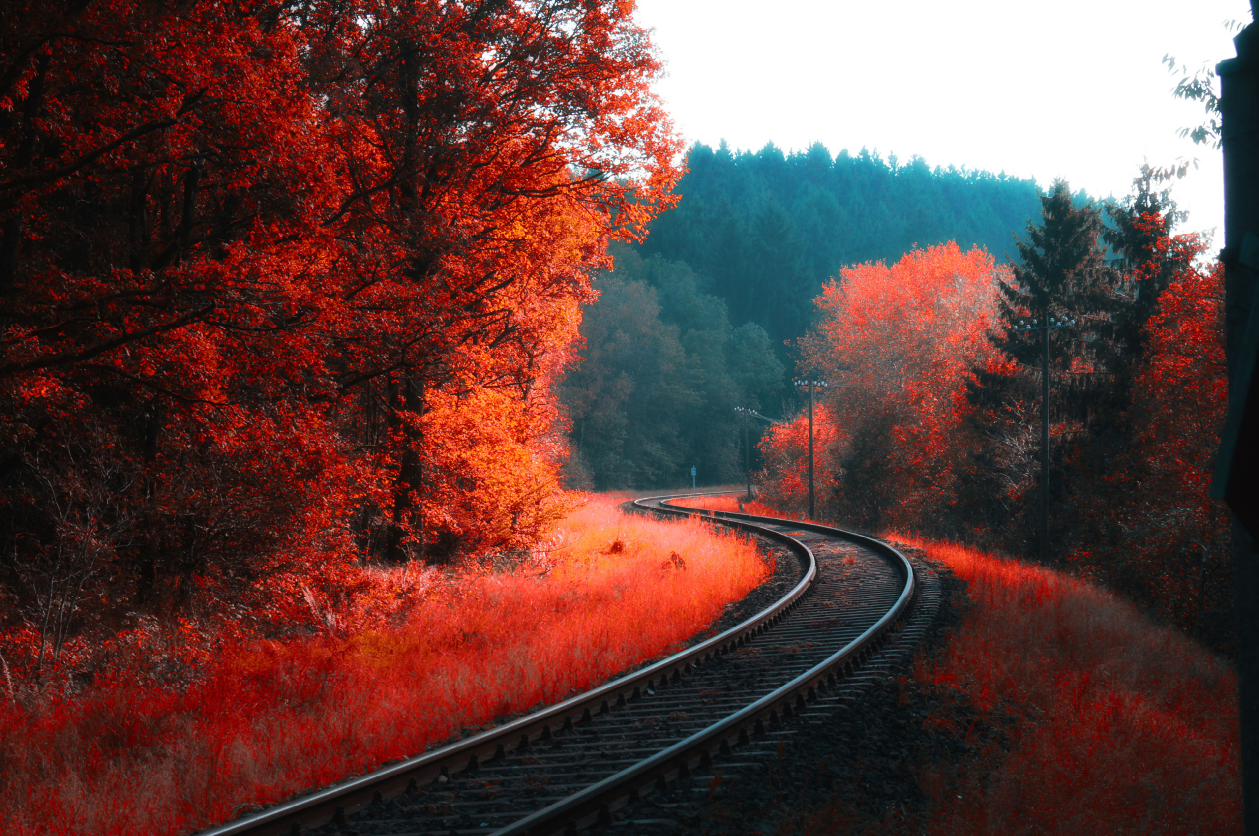Railway, Autumn forest, Chromebook Pixel wallpapers, Nature's beauty, 2560x1700 HD Desktop