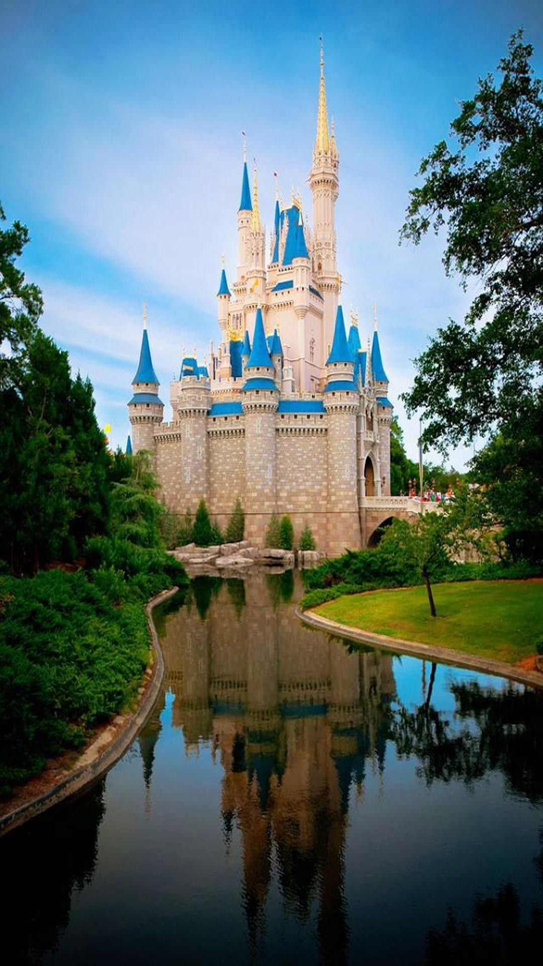 Castle: Walt Disney World Resort, Resort, Theme park. 1080x1920 Full HD Background.