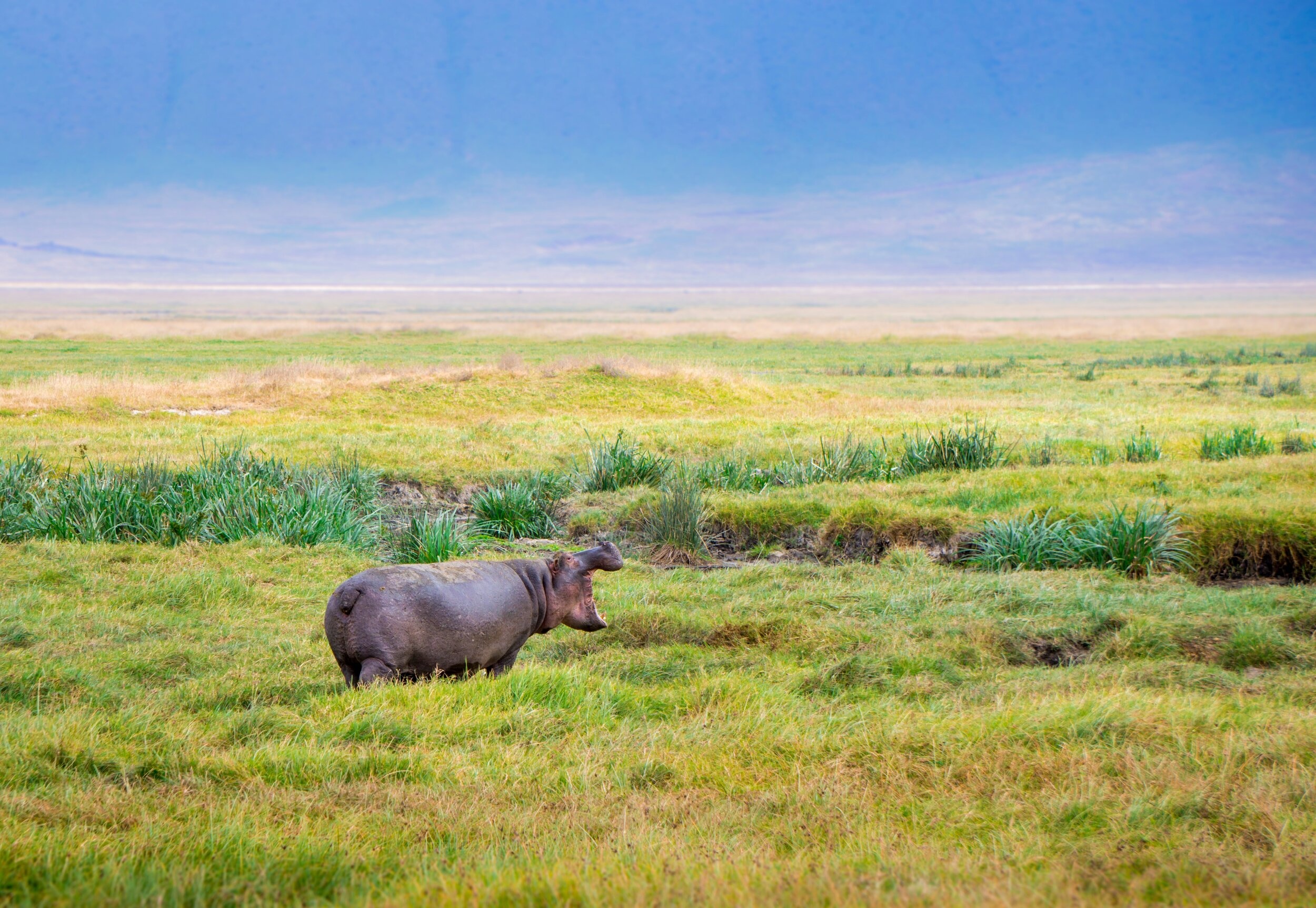 Ngorongoro Naturschutzgebiet, Sababu Safaris, 2500x1730 HD Desktop