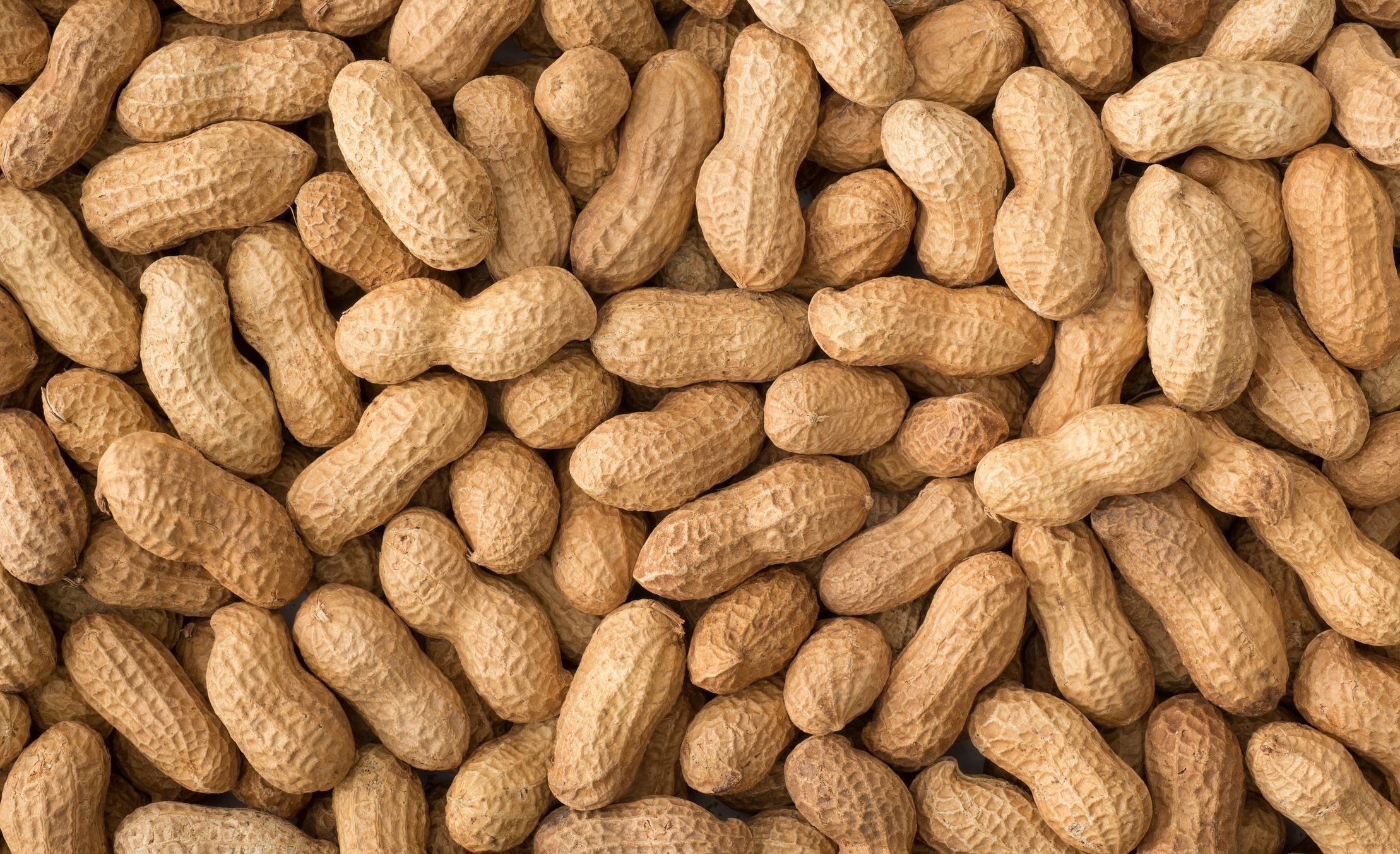 Peanuts (Food), Seneps plant choice, Nut cultivation, Tasty treat, 2220x1360 HD Desktop