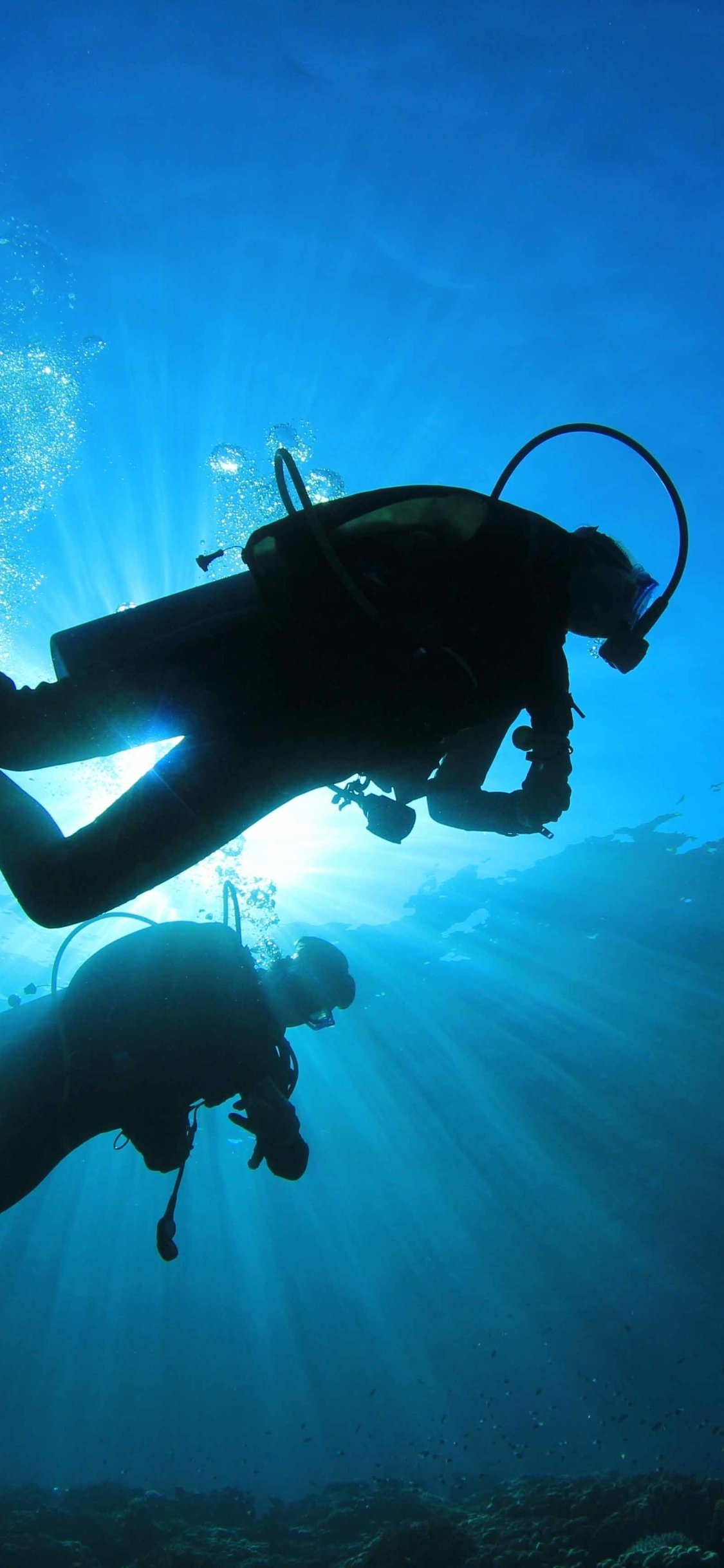 Sports scuba diving, Dive into action, Thrilling underwater excursions, Aquatic athleticism, 1130x2440 HD Phone