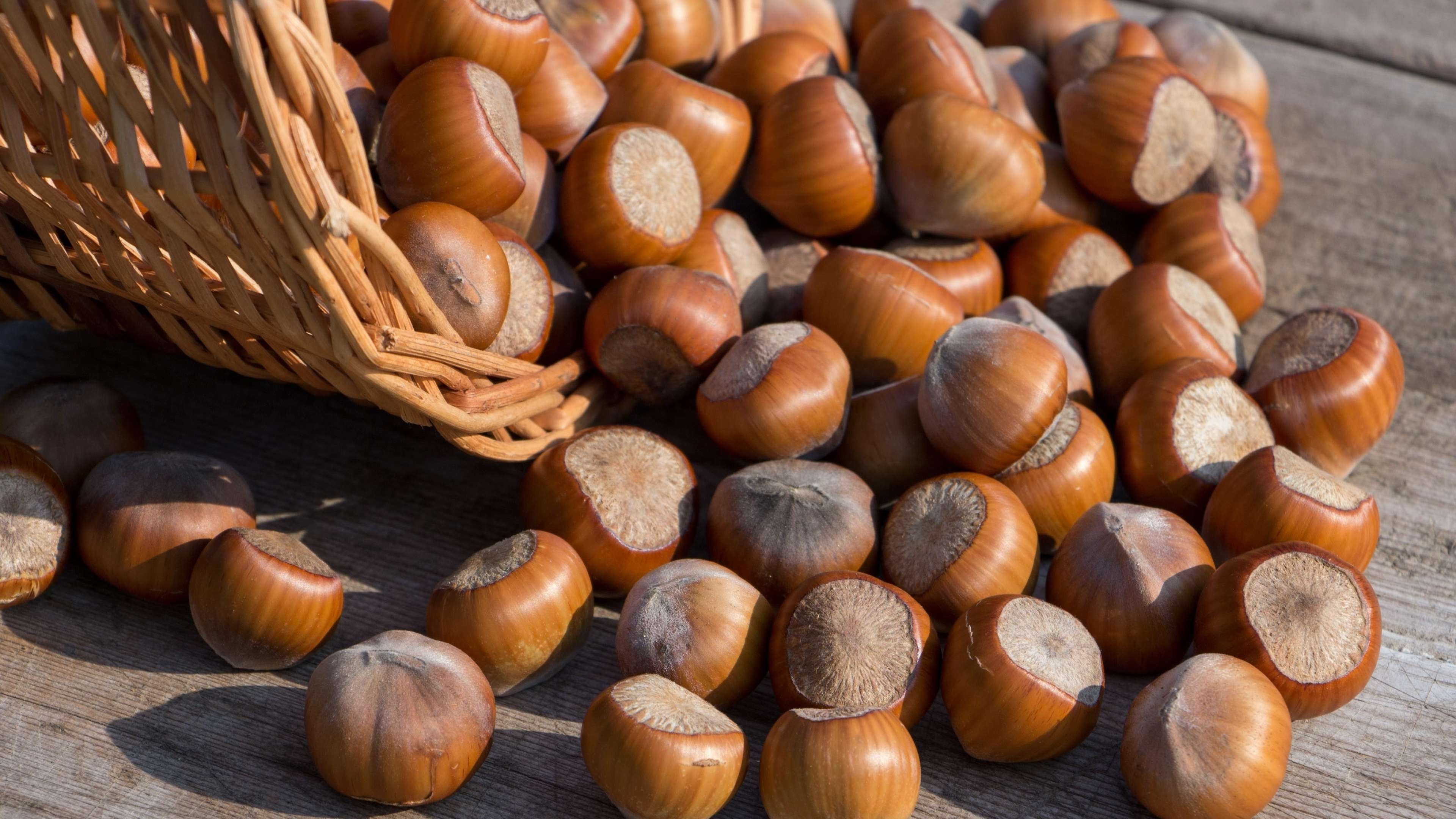 Nuts: Hazelnuts, The fruit of the hazel tree. 3840x2160 4K Background.