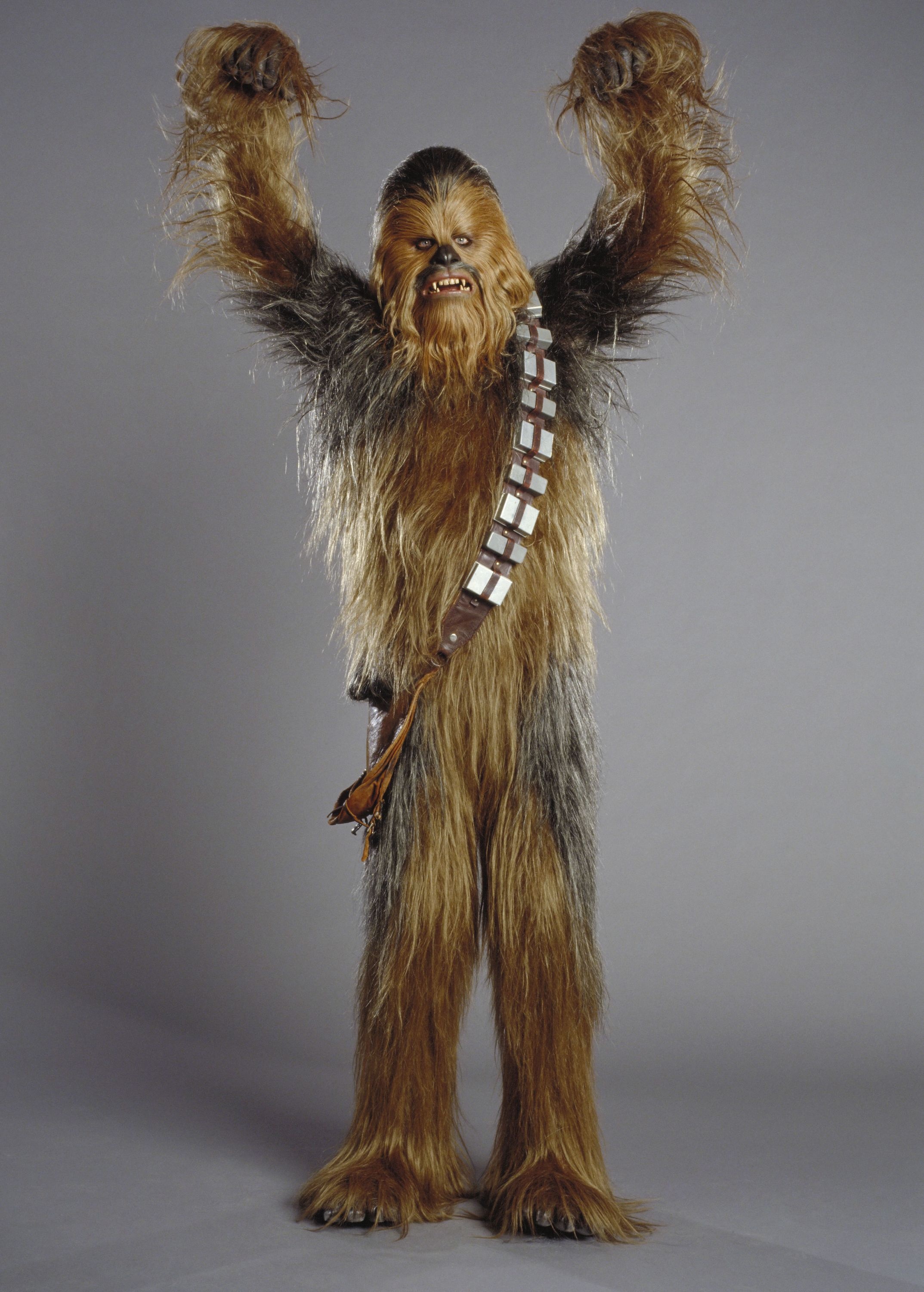 Chewbacca movies, Star Wars Chewbacca Wookiee, 2150x3000 HD Handy