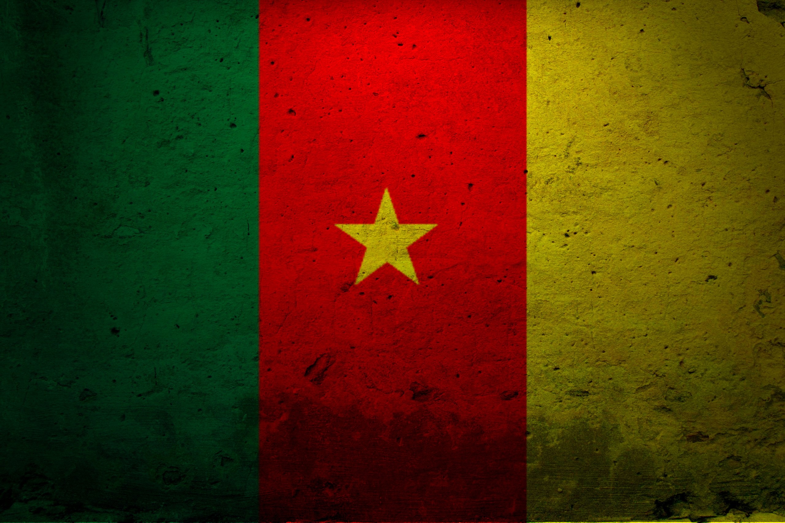 Cameroon flag, Wallpapers,, 2560x1710 HD Desktop