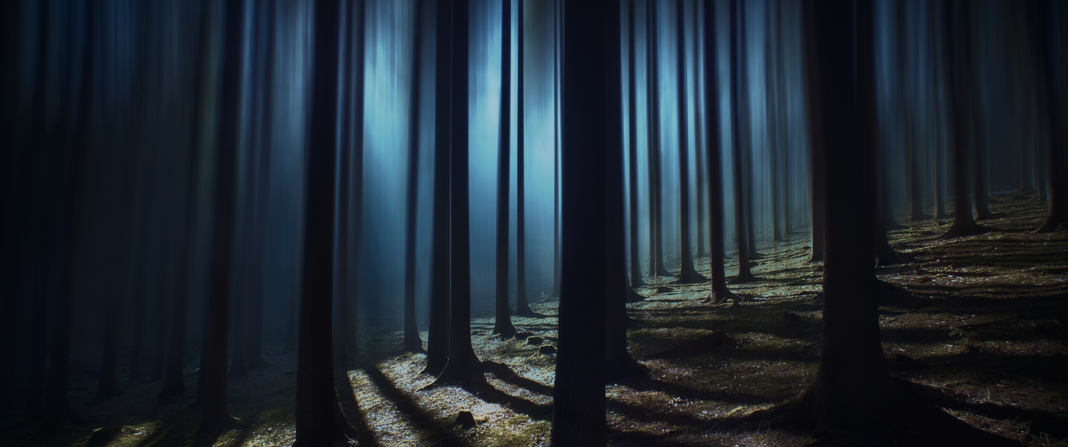 Dark forest, Nighttime woods, Tall trees, Nature, 3440x1440 Dual Screen Desktop