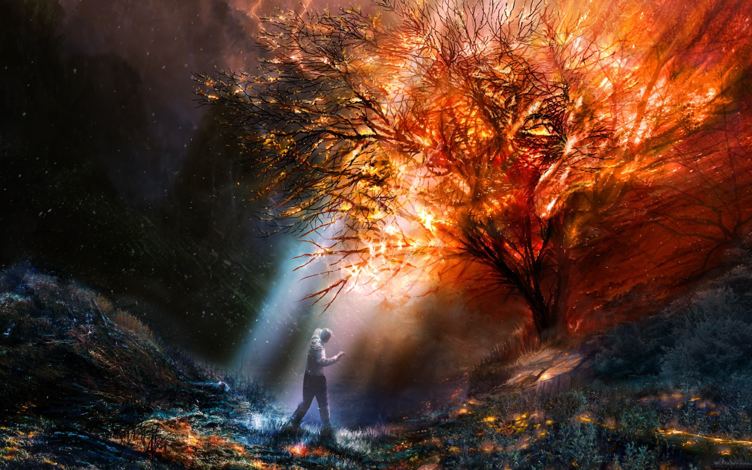 Fantasy art, Digital landscape, Fox in forest, Artistic illustration, HD wallpaper, 2560x1600 HD Desktop