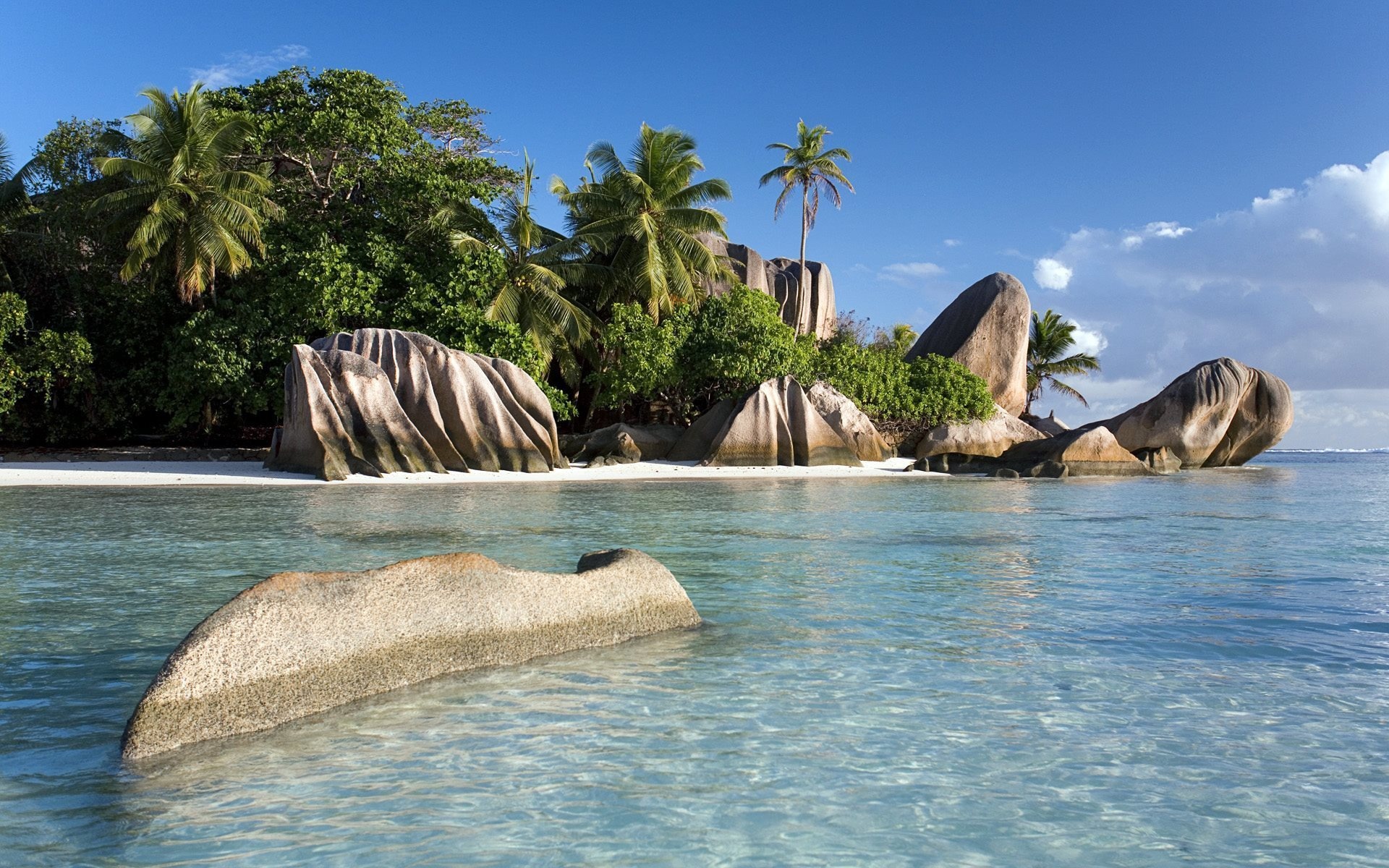 Sea paradise, Anse Source d'Argent, Summer beach vibes, Palm tree bliss, 1920x1200 HD Desktop