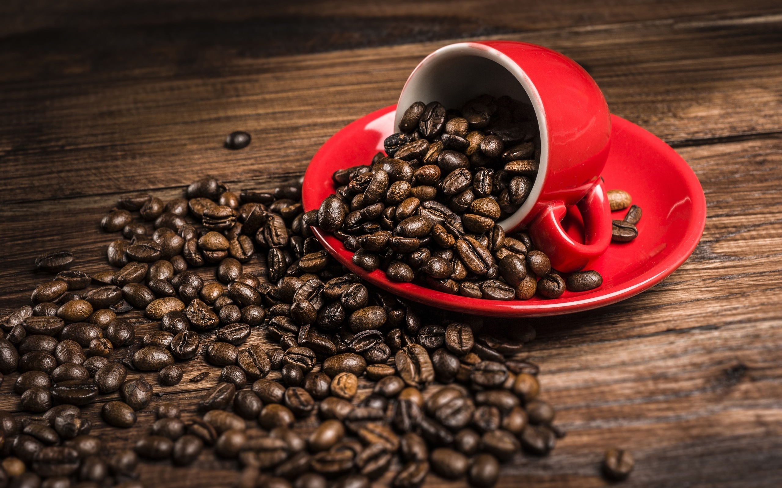 Red cup coffee, Free download wallpaper, Coffee beans wallpapers, Desktop mobile, 2560x1600 HD Desktop