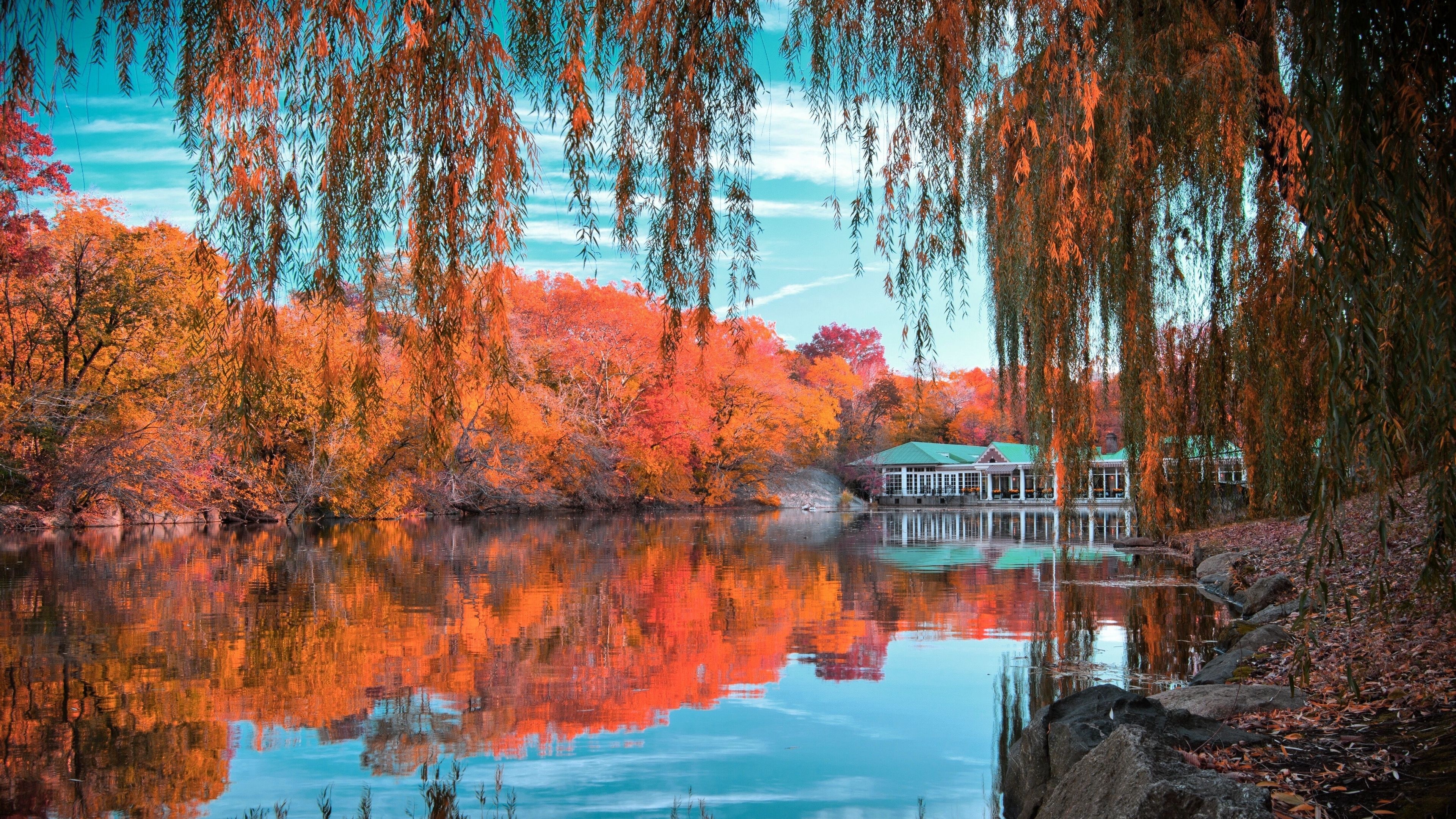 Central Park NY, Herbst Wallpaper, 3840x2160 4K Desktop