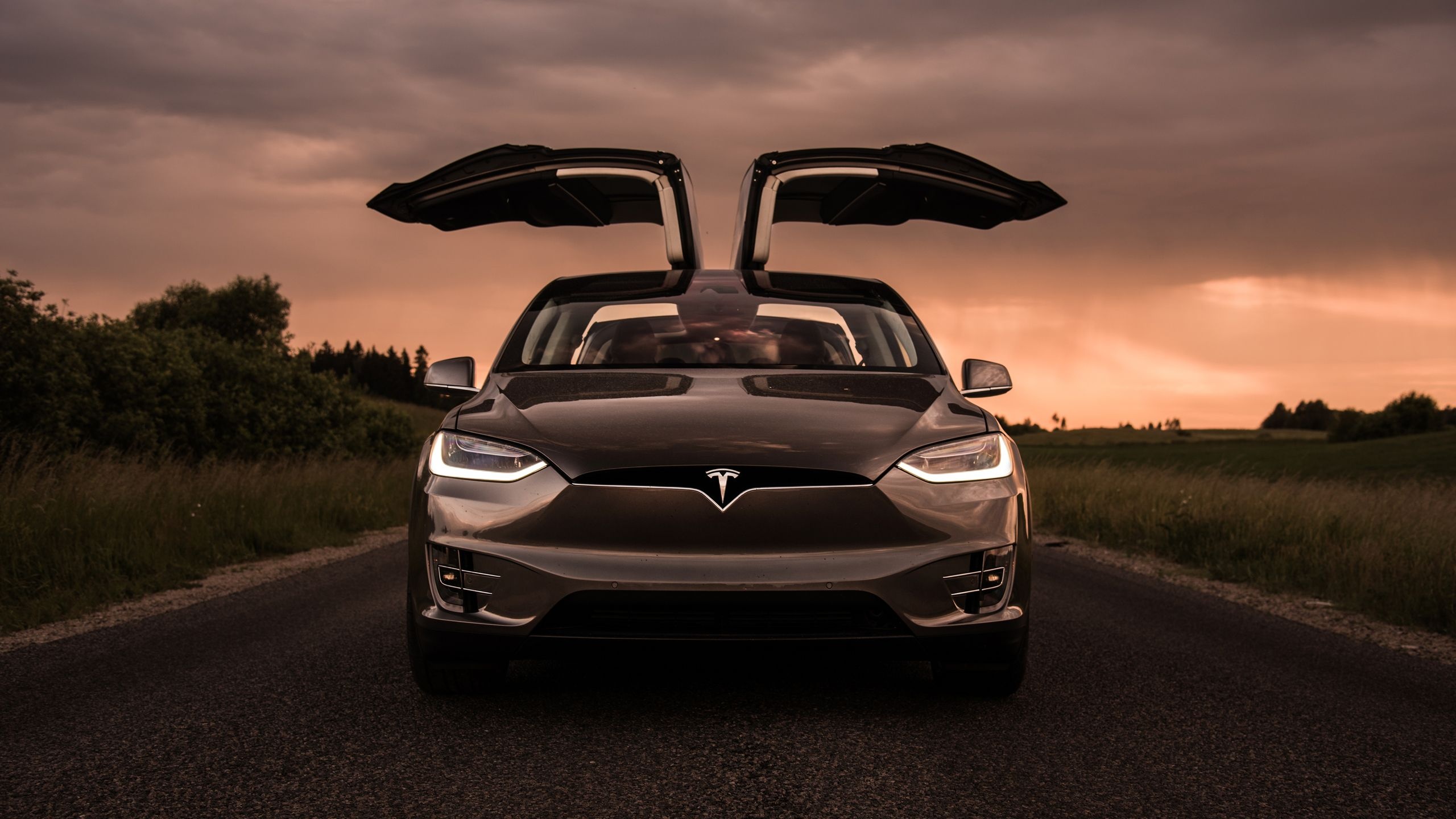 Tesla Model X, Automotive marvel, Icon of innovation, Modern luxury, 2560x1440 HD Desktop
