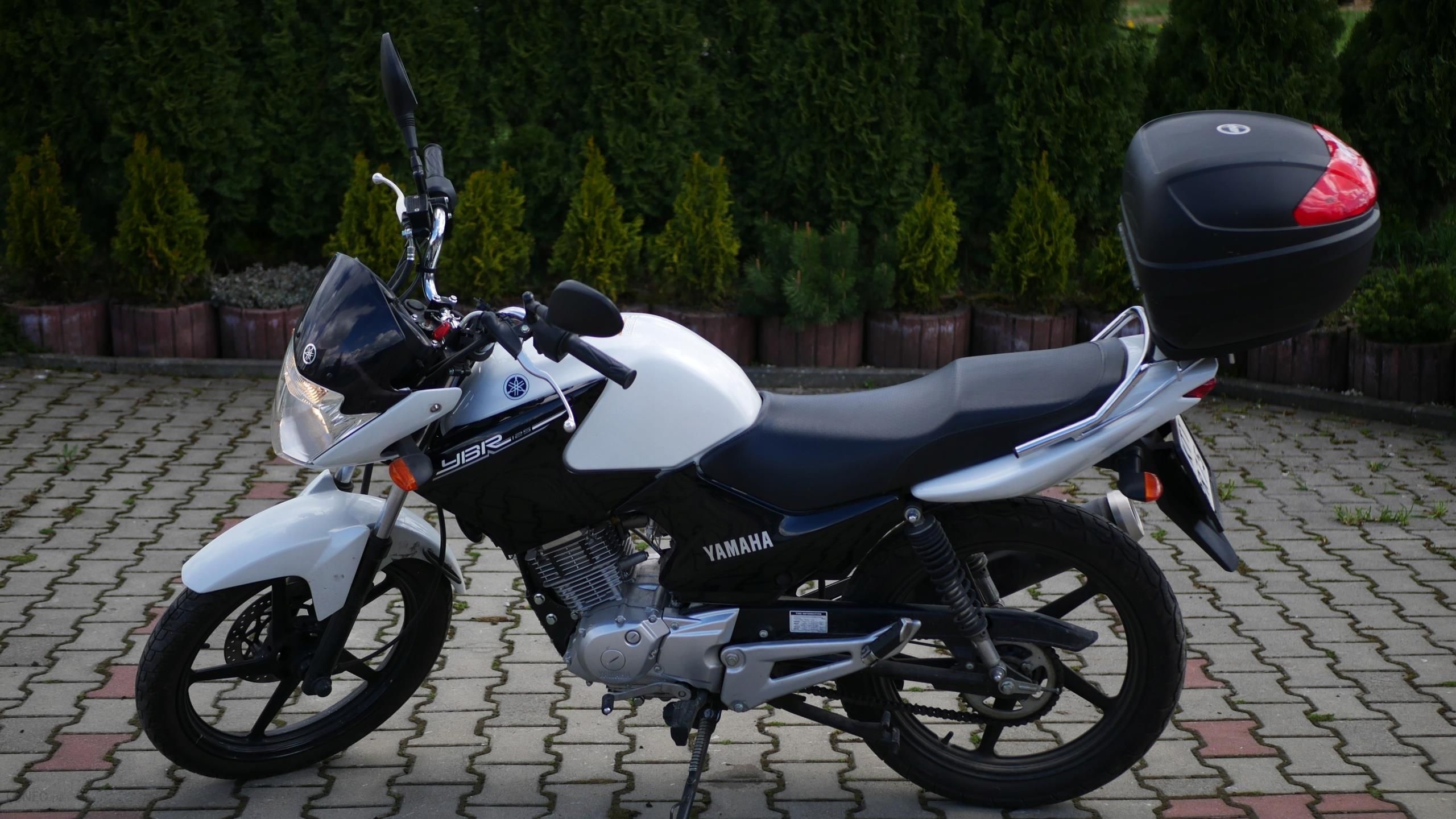 Yamaha YBR125, Trusted reviews, Affordable price, Reliable performance, 2560x1440 HD Desktop