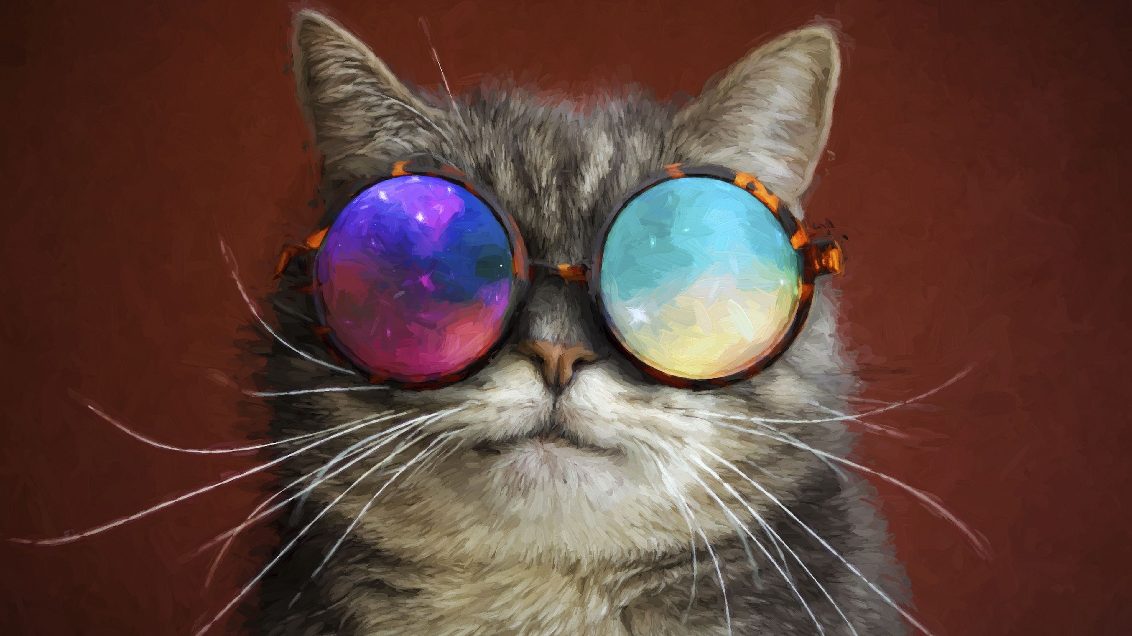 Galaxy Cat, Spectacled companion, Cosmic adventures, HD glasses, 3840x2160 4K Desktop