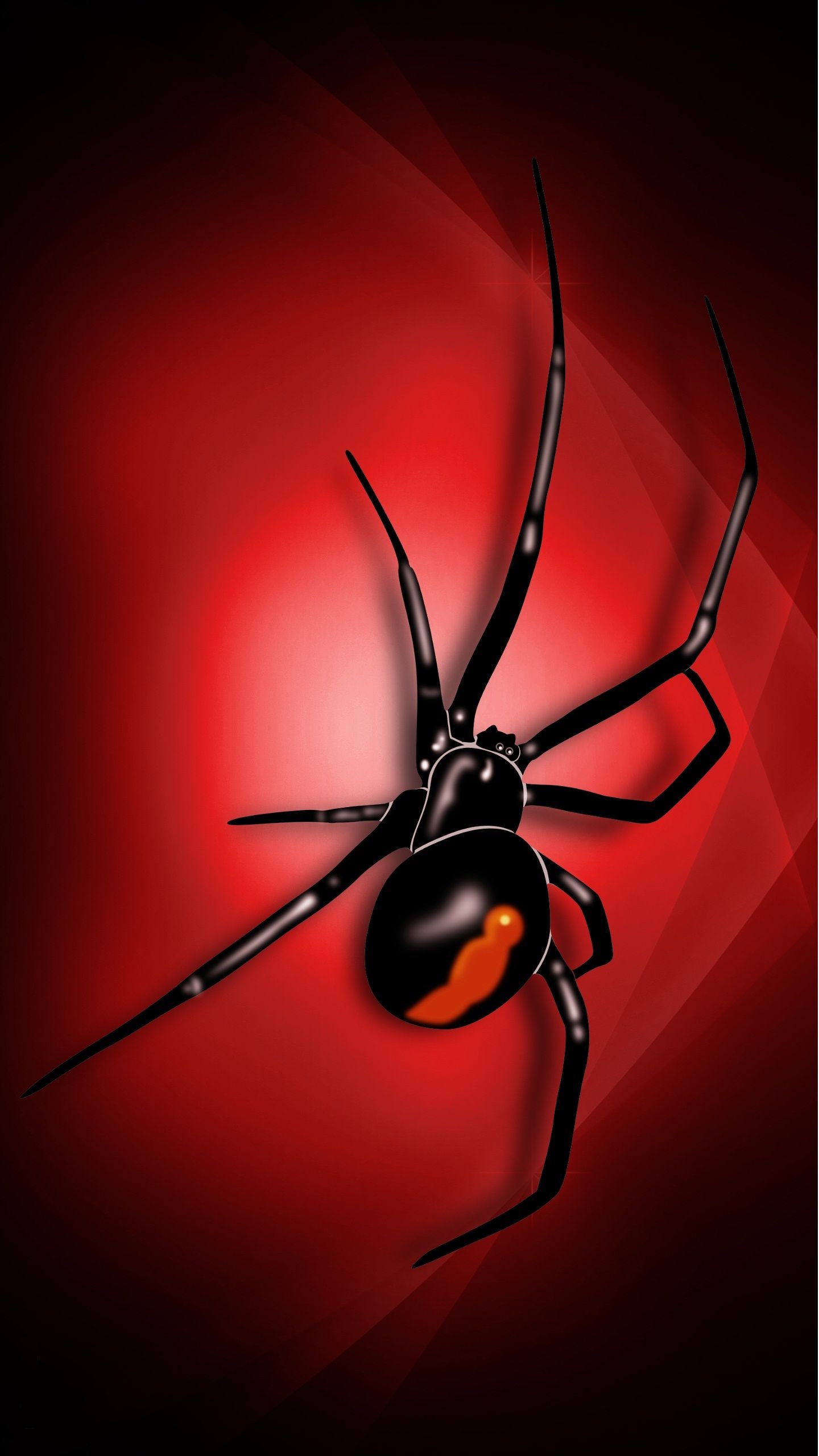 Cool spider wallpapers, Intricate patterns, Arachnid close-ups, Wall-worthy, 1440x2560 HD Phone