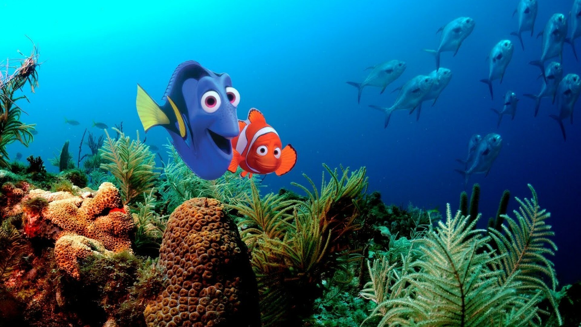 Finding Nemo: A tale which follows the comedic and eventful journeys of two fish, Marine creatures. 1920x1080 Full HD Wallpaper.
