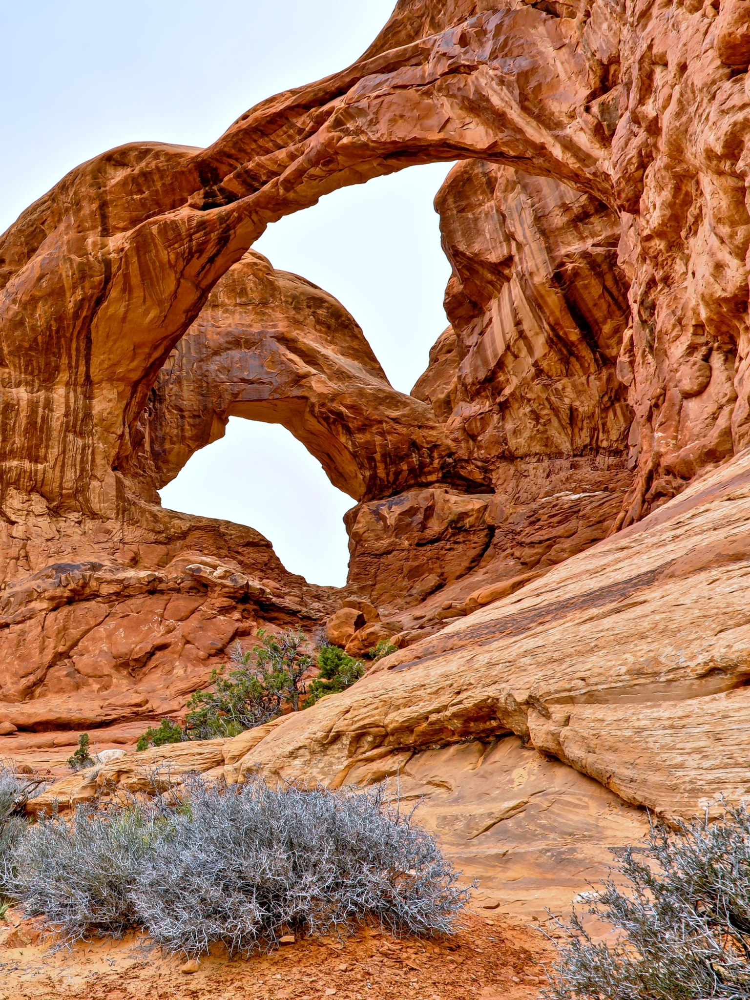 Arches National Park, Earth's beauty, Natural wonder, Stunning arches, 1540x2050 HD Phone