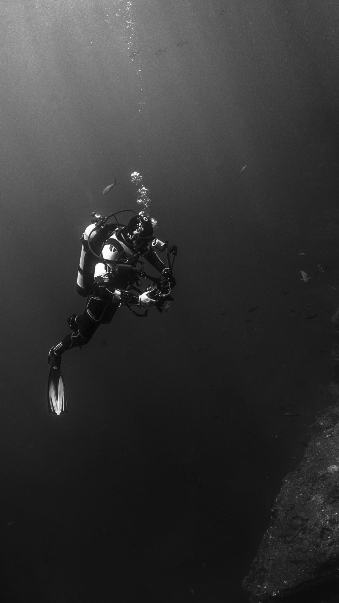 Scuba Diving: The monochrome diver performs a camera shooting of the water world. 1080x1920 Full HD Wallpaper.