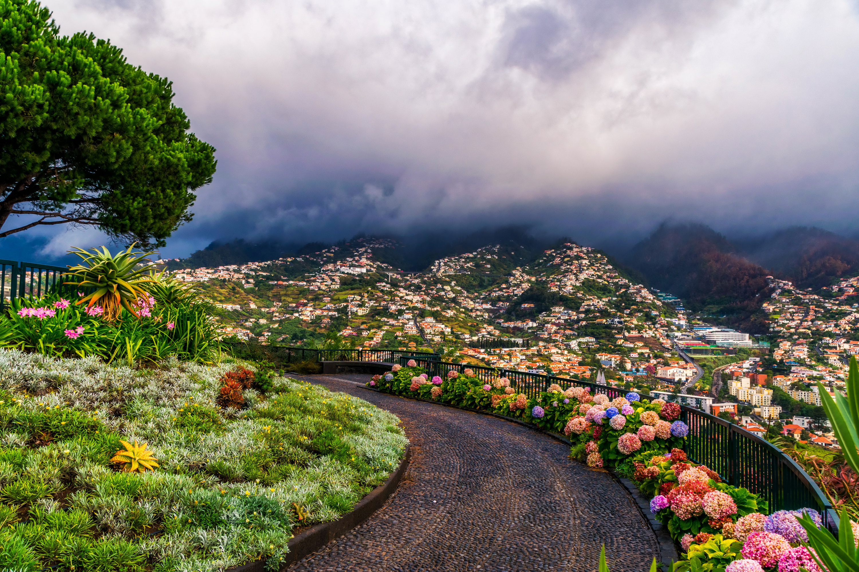 Madeira travels, Stunning HD wallpaper, Beautiful background image, 3000x2000 HD Desktop