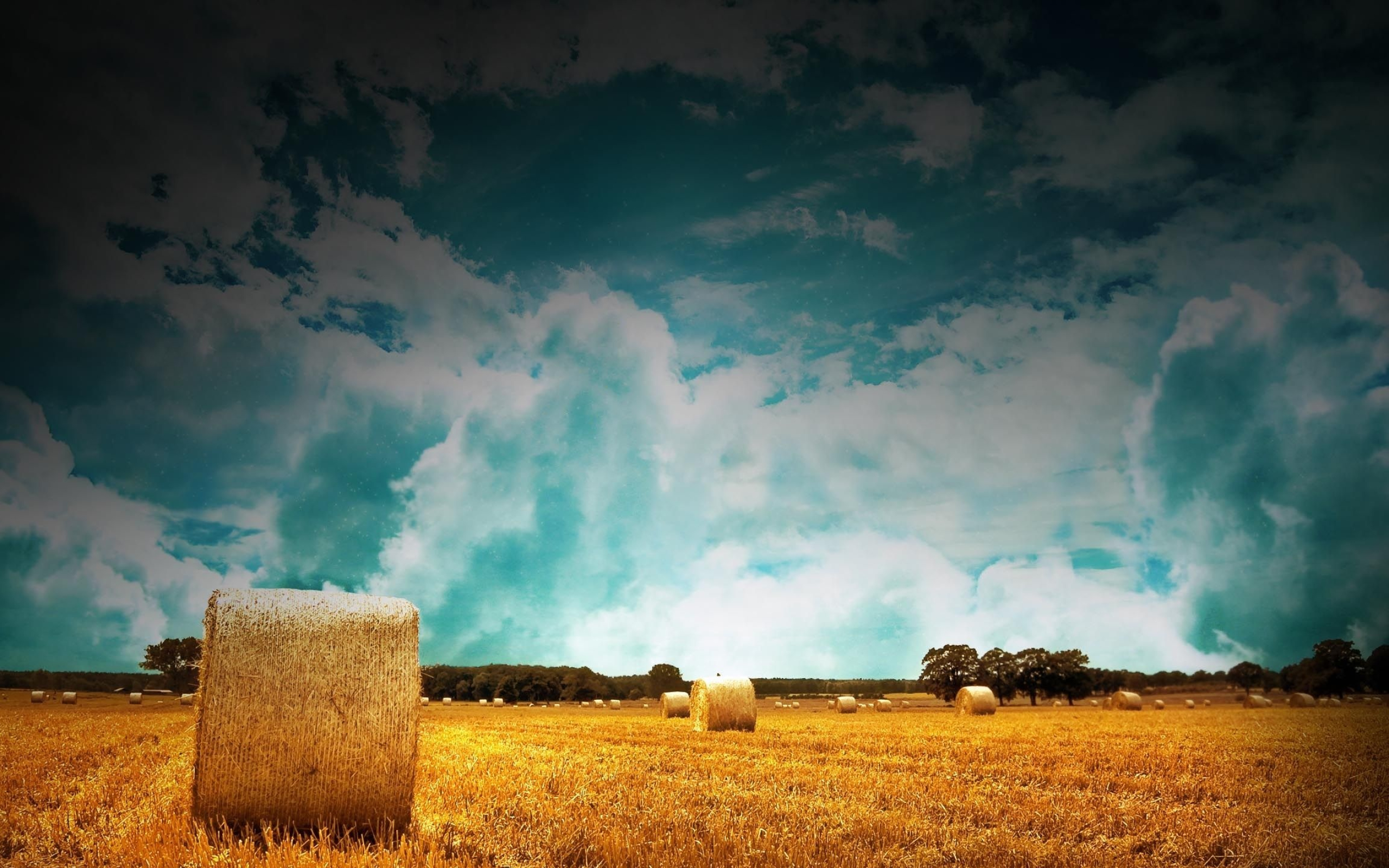 Farm: Farmland, Harvest time, Straw roll. 2560x1600 HD Background.