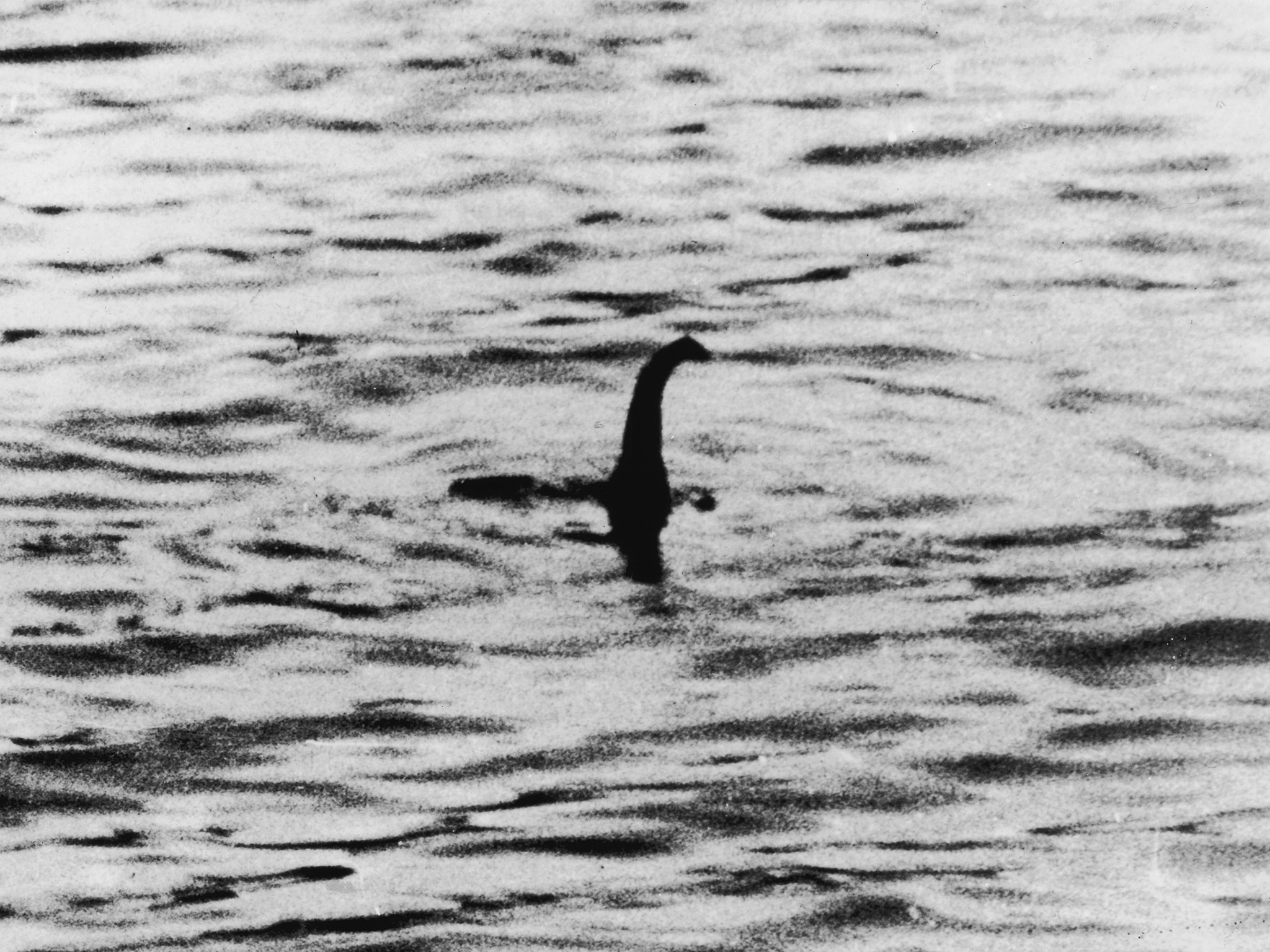 Loch Ness Monster, Wallpapers, Pictures, Images, 2050x1540 HD Desktop