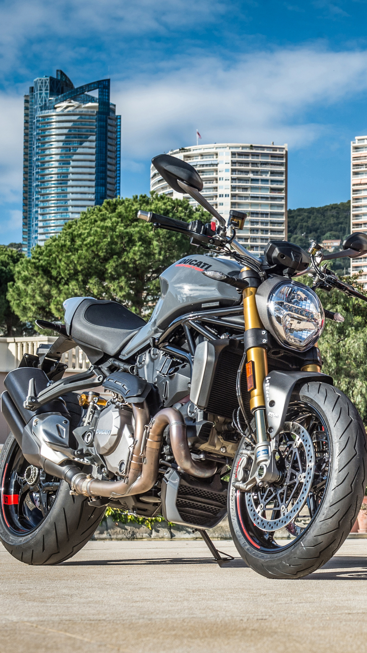 Ducati Monster, Auto expert, Ducati motorcycles, Naked street bike, 1440x2560 HD Phone