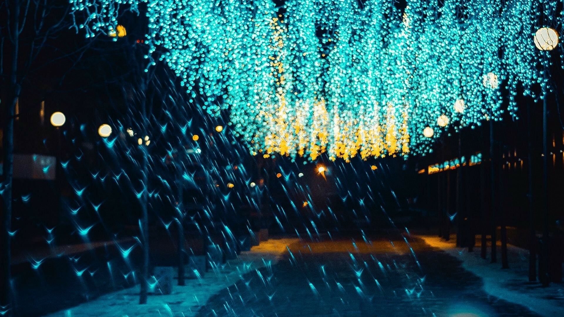 Fairy Lights: Christmas, New Year, Decorations, Holidays, Illumination. 1920x1080 Full HD Wallpaper.
