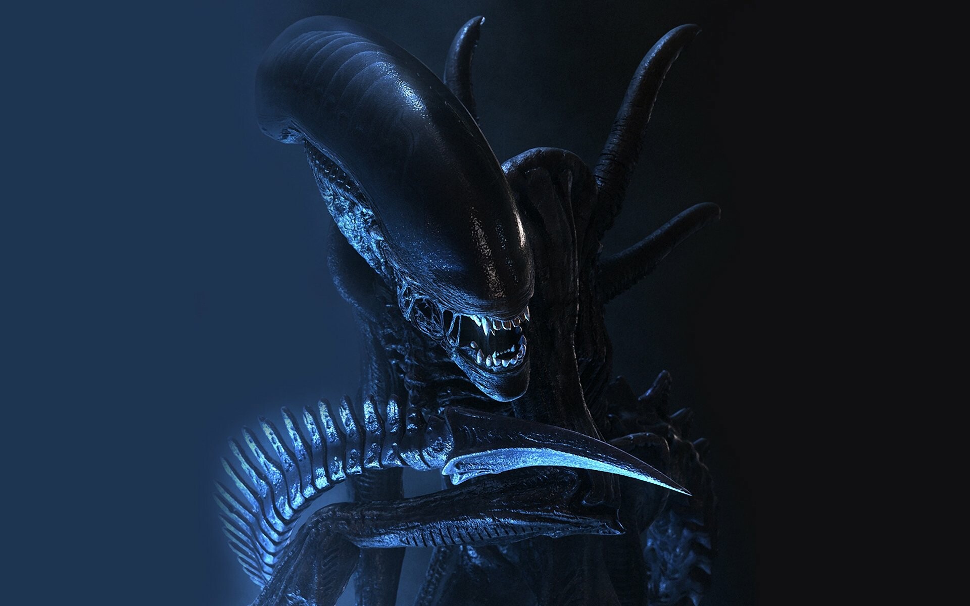 Alien (Movie): Xenomorph XX121 or Internecivus raptus, Created by Dan O'Bannon. 1920x1200 HD Wallpaper.