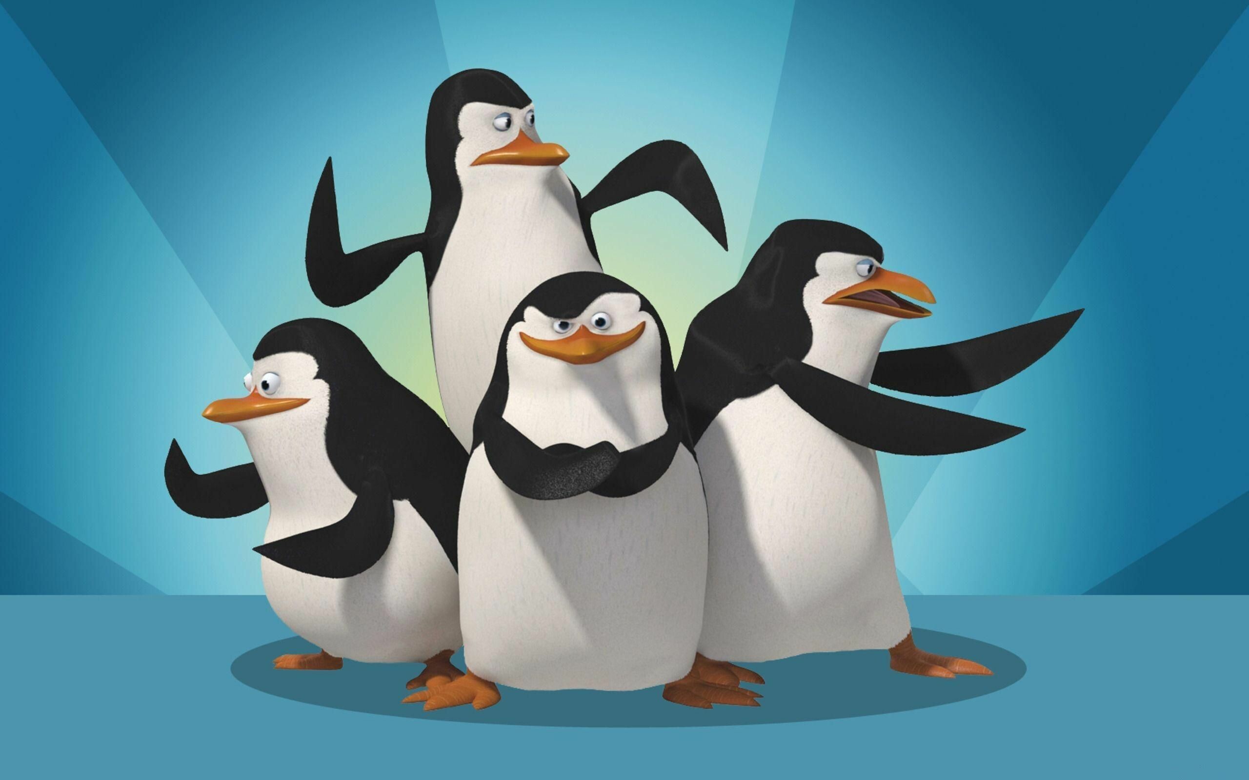 Madagascar (Movie): Skipper, Rico, and Kowalski, Penguin chick brothers. 2560x1600 HD Wallpaper.