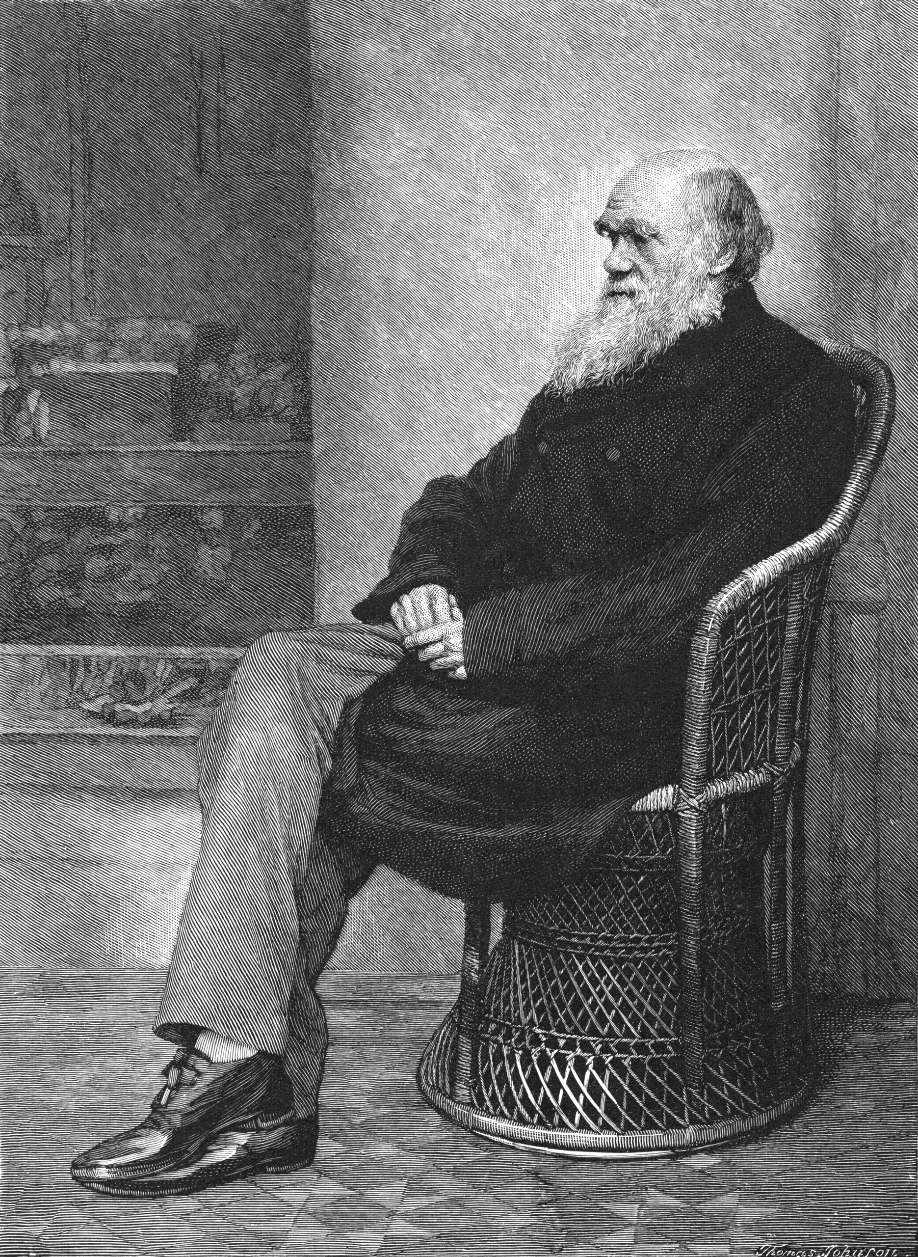 Charles Darwin: An English naturalist, geologist, and biologist, On the Origin of Species. 1880x2560 HD Wallpaper.