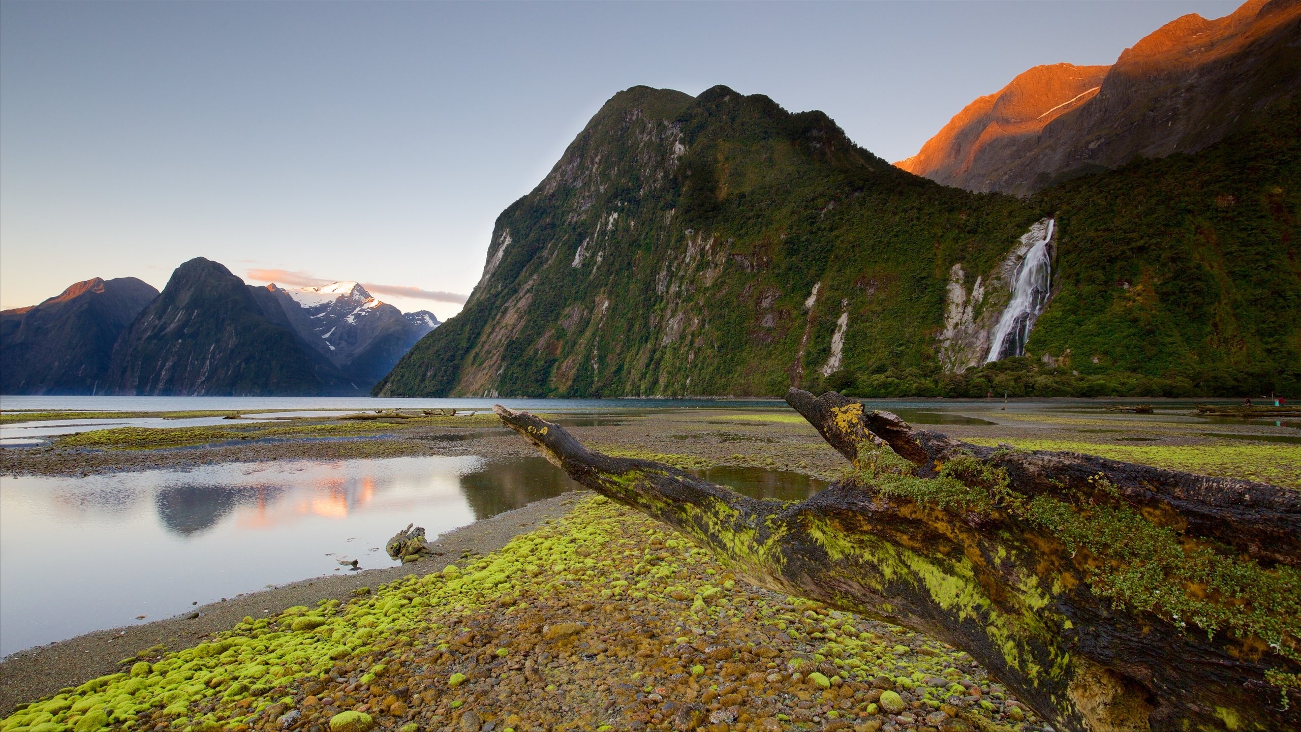 Fiordland National Park, Travels, Best of, Tourism, 2560x1440 HD Desktop