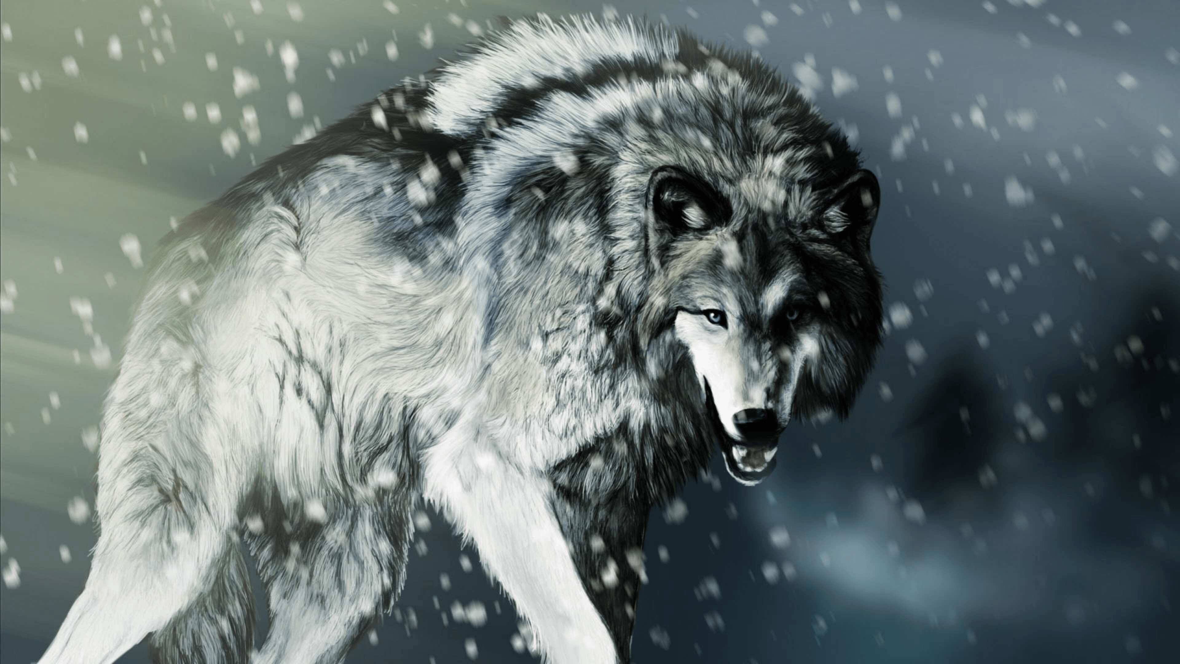 Wolf: A large canine native to Eurasia and North America. 3840x2160 4K Background.
