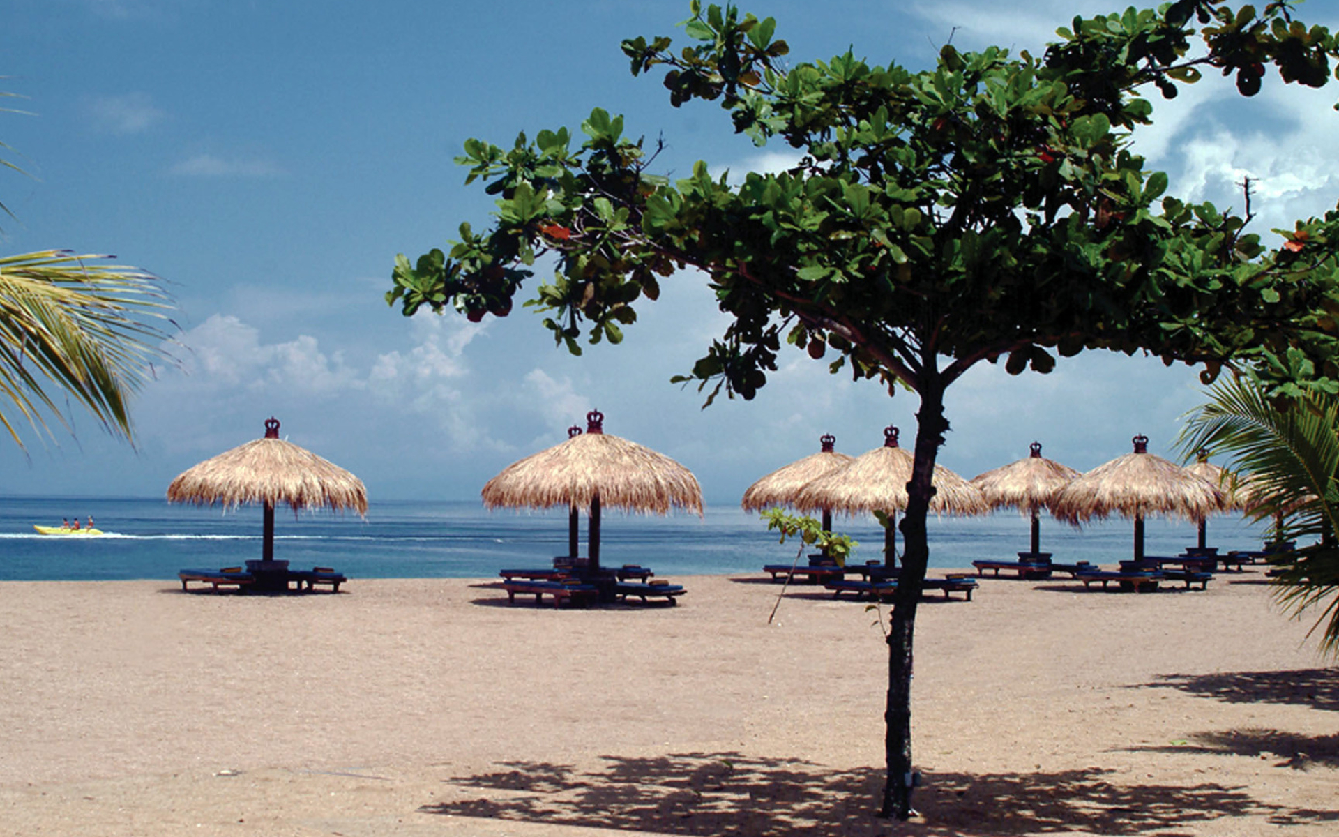 Bali coastal charm, Tropical paradise, Beachside beauty, Oceanside serenity, 1920x1200 HD Desktop