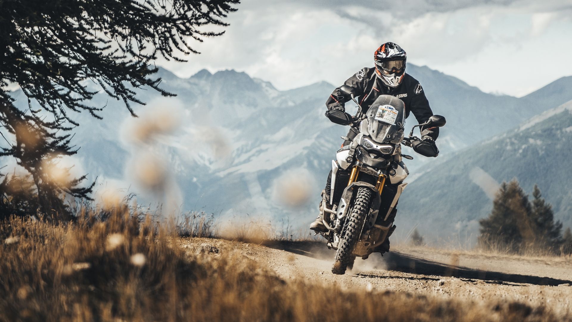 Triumph Tiger 900, Rally Pro model review, Strengths and weaknesses analysis, 1920x1080 Full HD Desktop