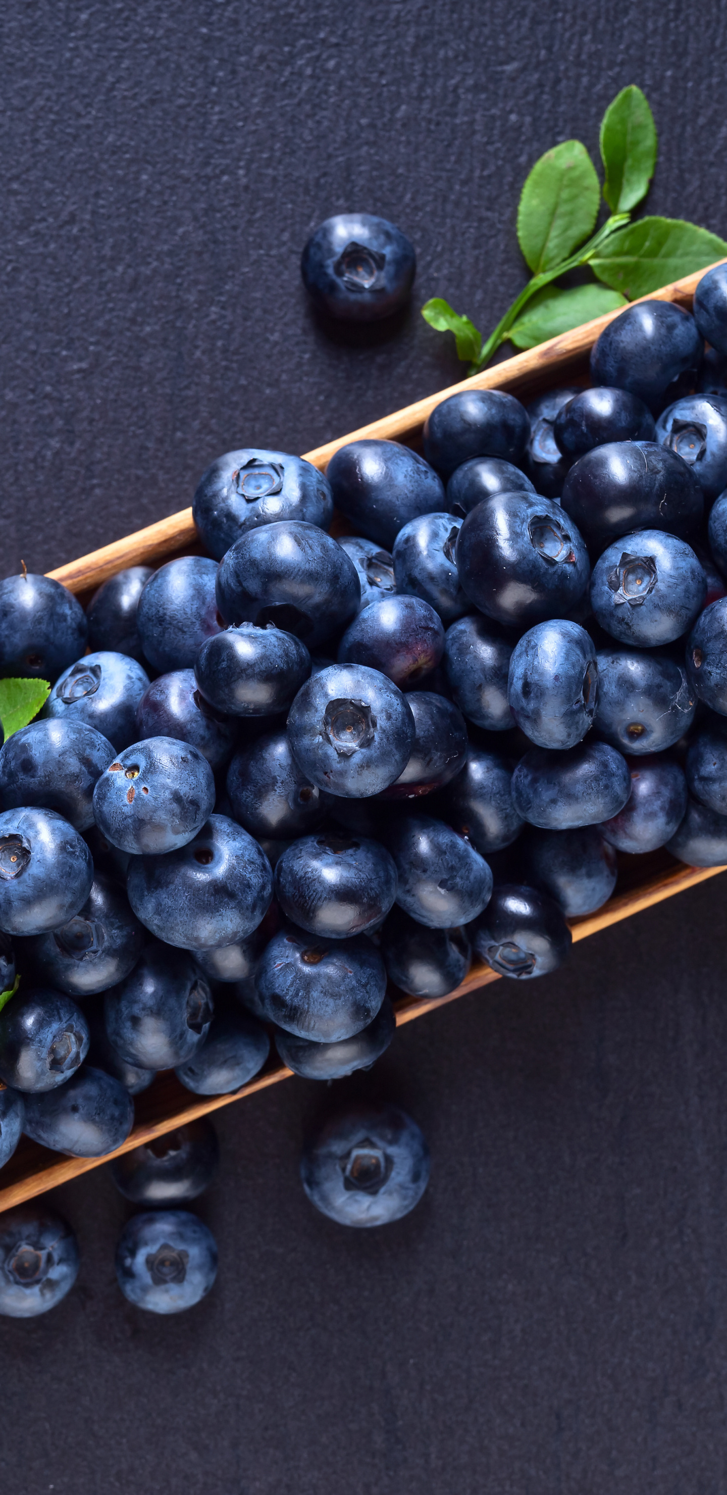 Delicious blueberry treat, Fruity and refreshing, Burst of flavor, Healthy indulgence, 1440x2960 HD Phone