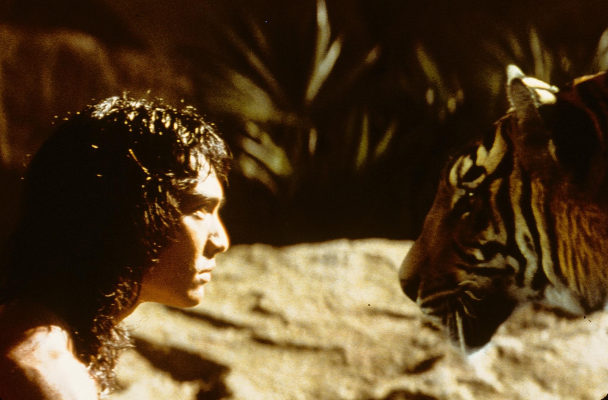 Mowgli, Shere Khan, The Jungle Book 1994, Fanpop, 2050x1350 HD Desktop
