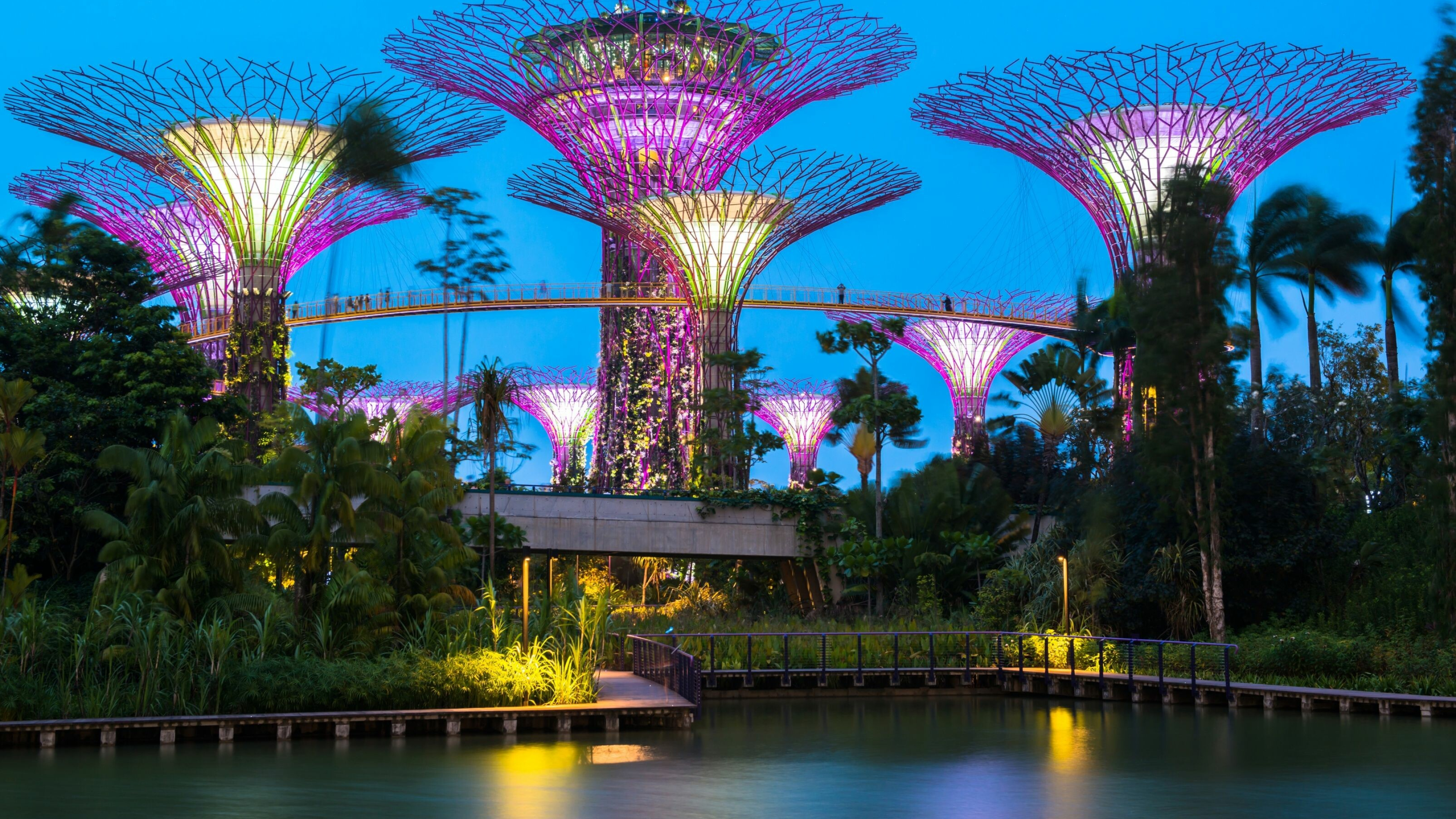 Singapore Travels, Urban skyline, Modern architecture, City lights, 3560x2000 HD Desktop
