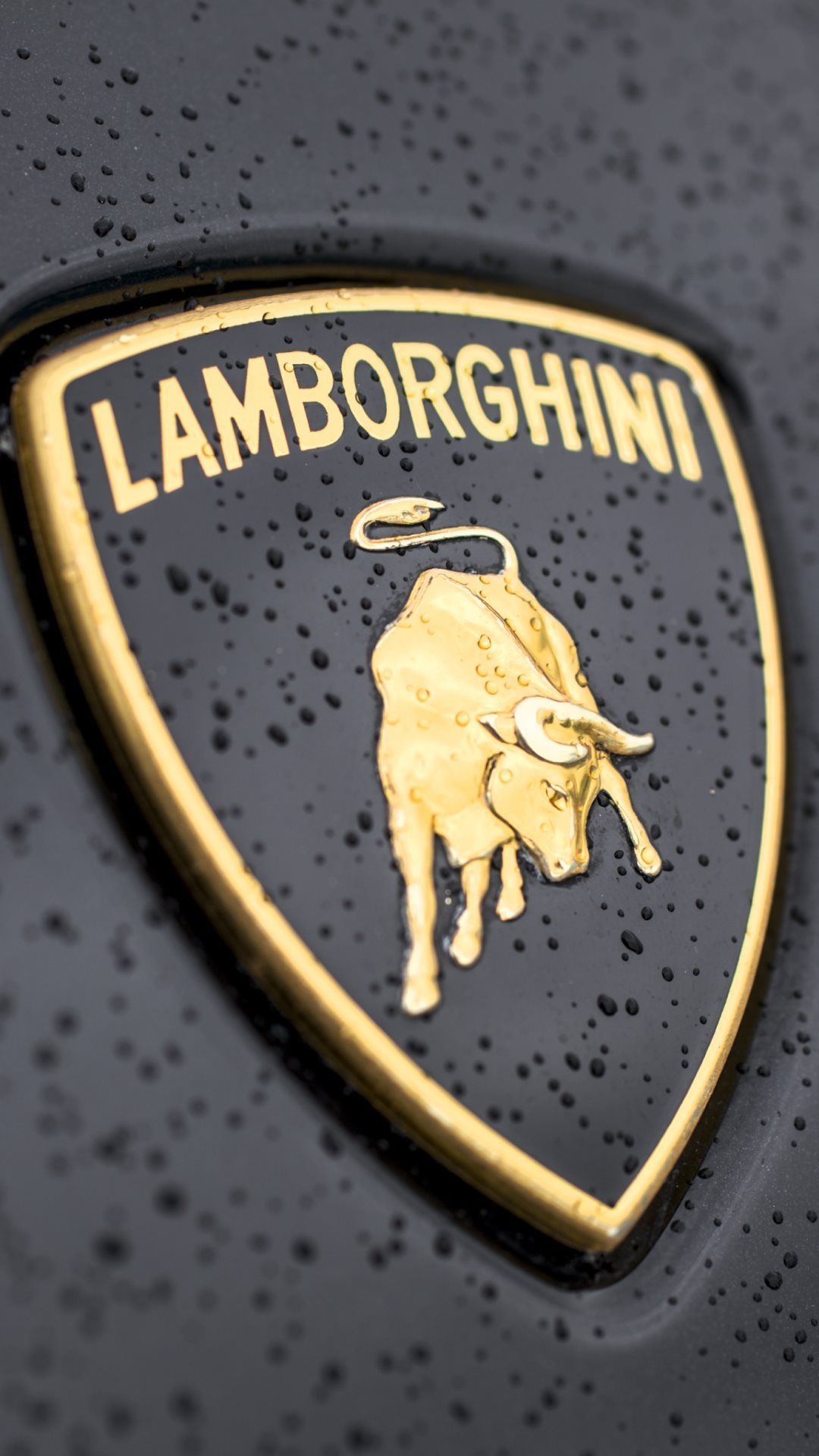Lamborghini Logo, HD wallpaper, Dream cars, Sports car's symbol, 1080x1920 Full HD Phone