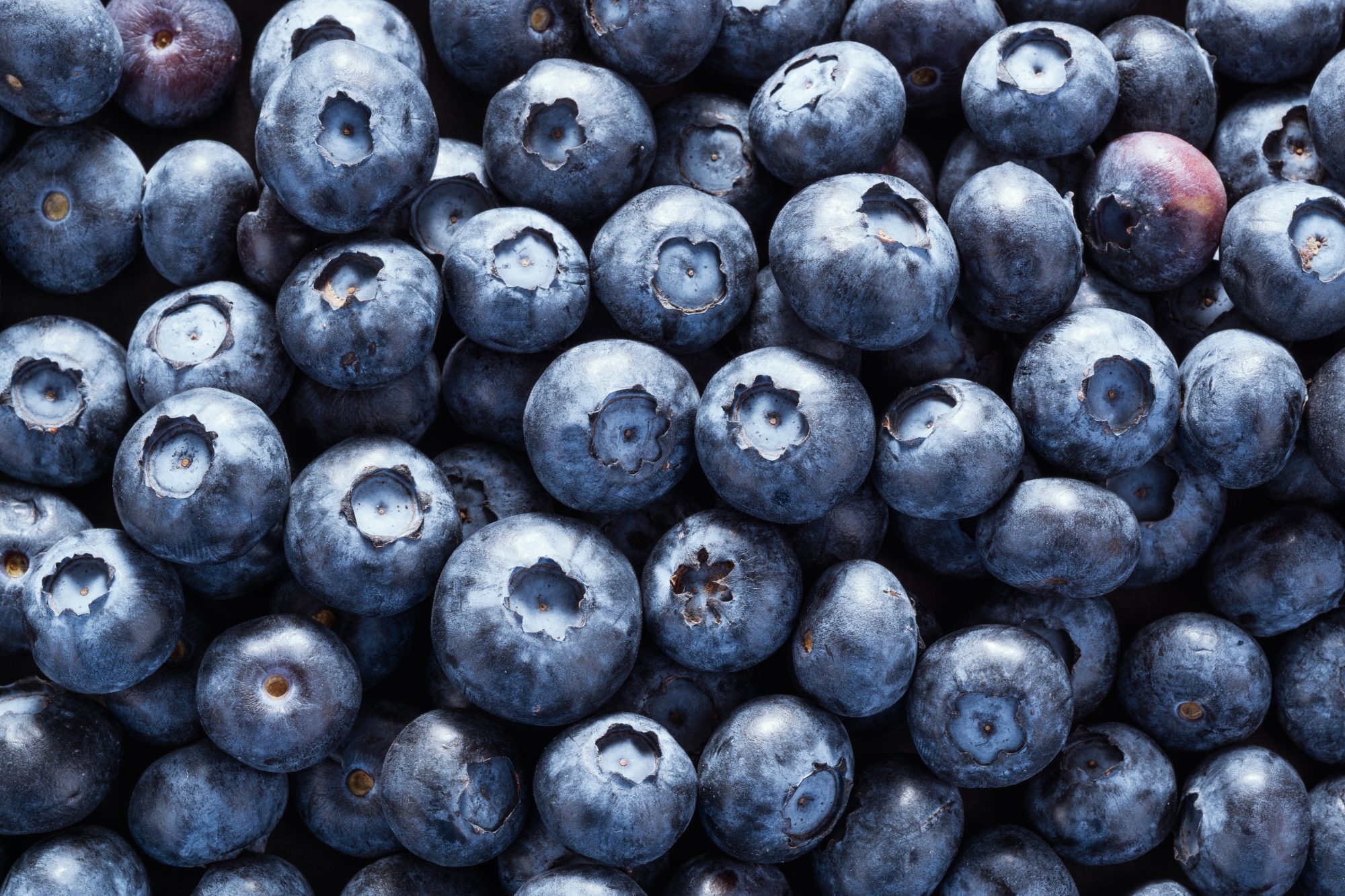 Storing blueberries, Tips and tricks, Keeping them fresh, Preserving their quality, 2000x1340 HD Desktop