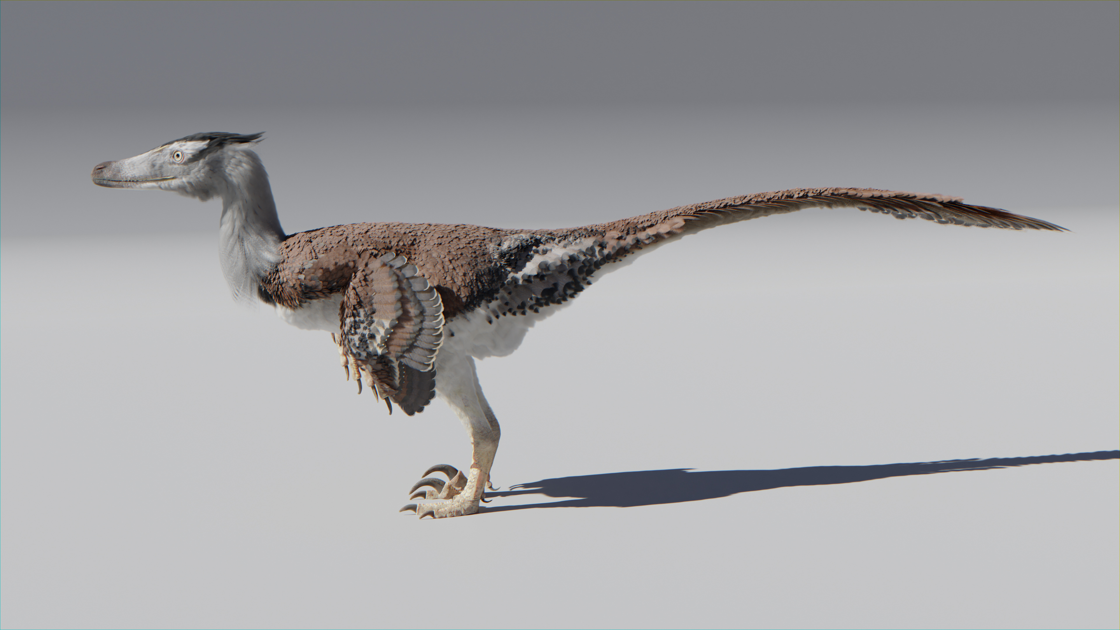 Animation courtship display, Velociraptor monogliensis, Finished project, Blender artists community, 3840x2160 4K Desktop