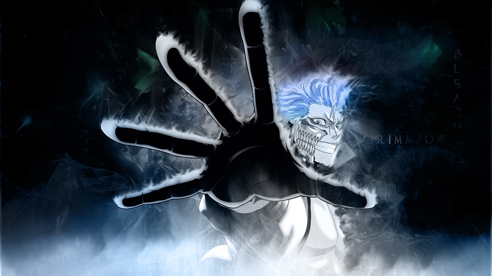 Grimmjow Jaggerjack: The main antagonist whose name comes from European architect Nicholas Grimshaw and the German word for hunter. 1920x1080 Full HD Wallpaper.