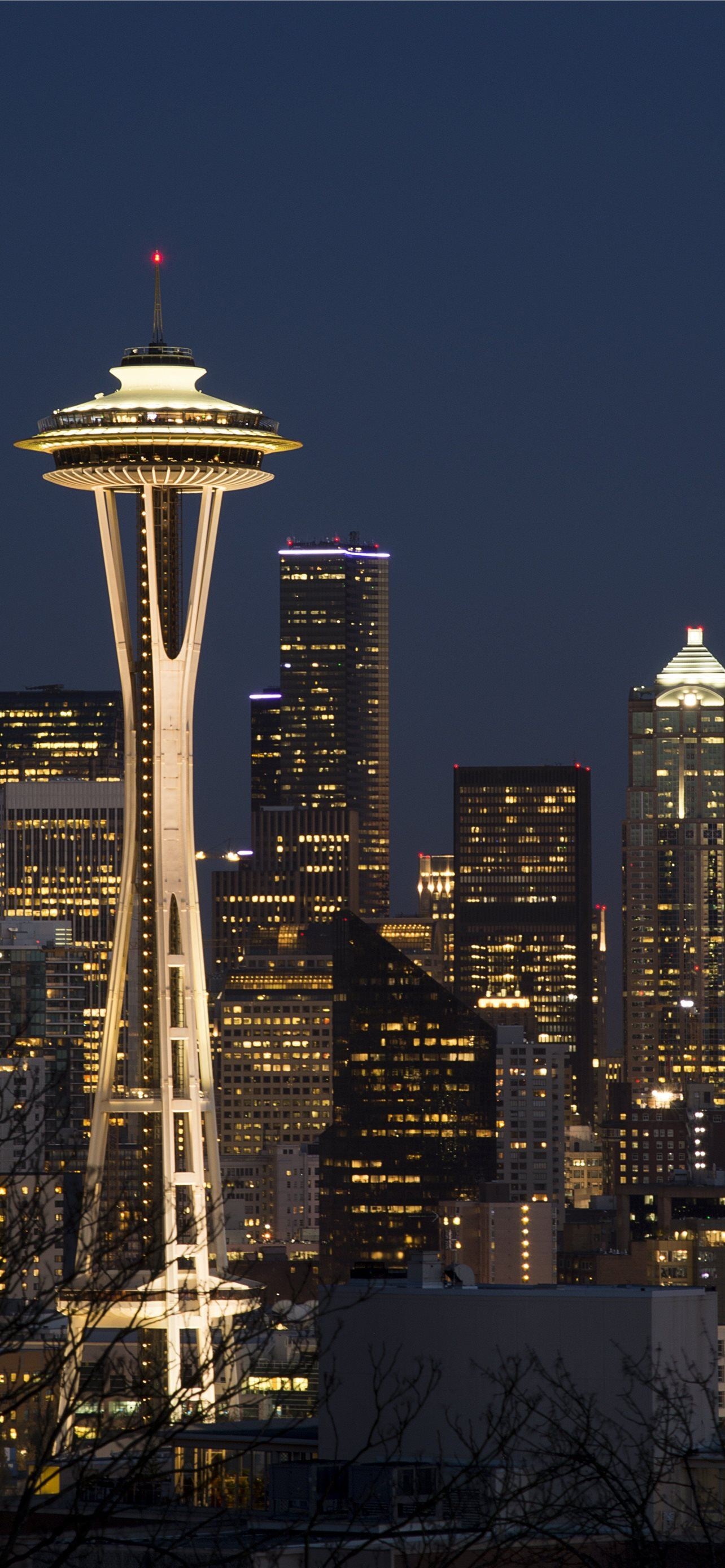 Seattle Skyline, iPhone wallpapers, Serene sea views, Stunning cityscape, 1290x2780 HD Phone