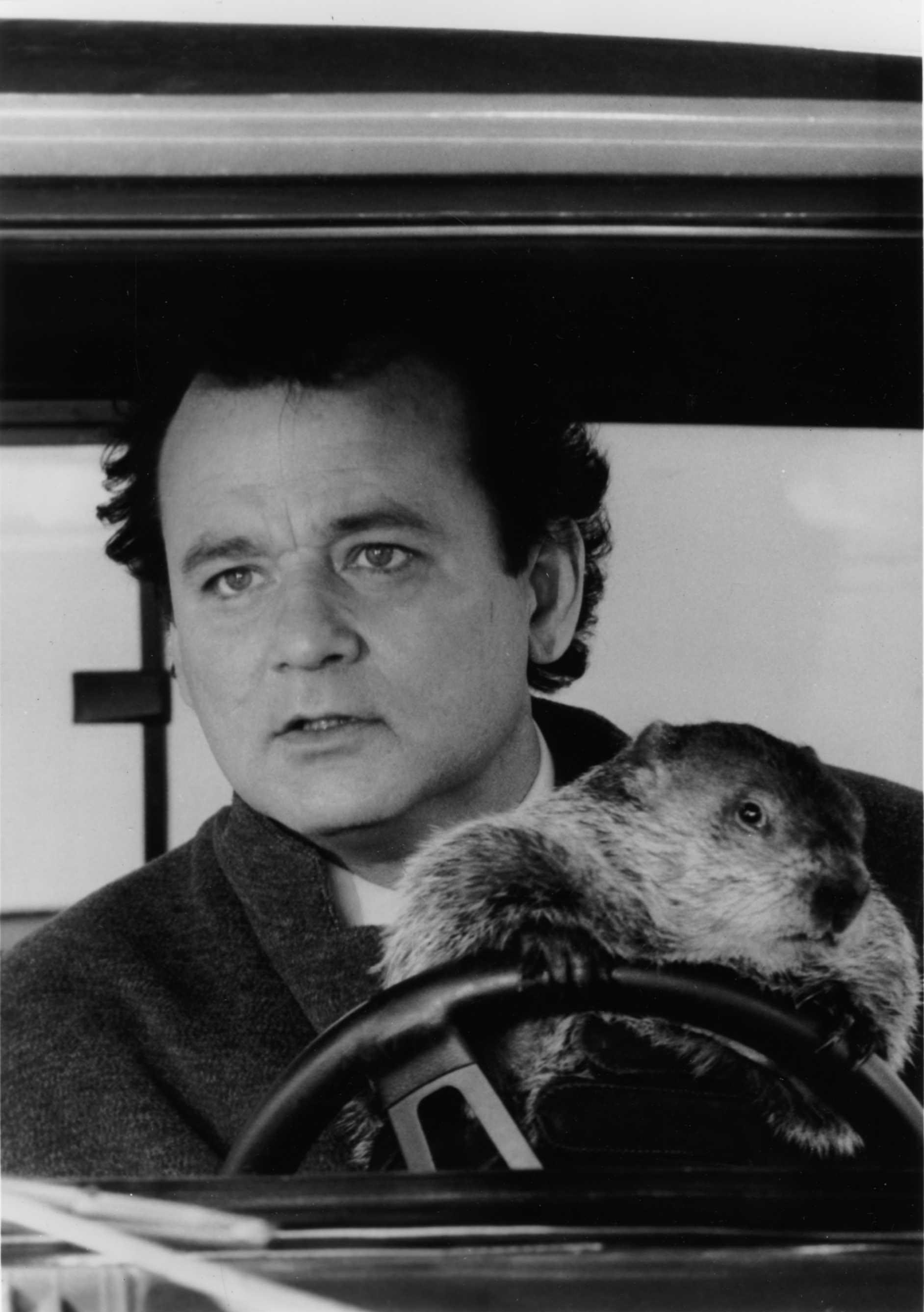 Groundhog Day (Movie): A 1993 American fantasy comedy film directed by Harold Ramis. 1890x2680 HD Wallpaper.