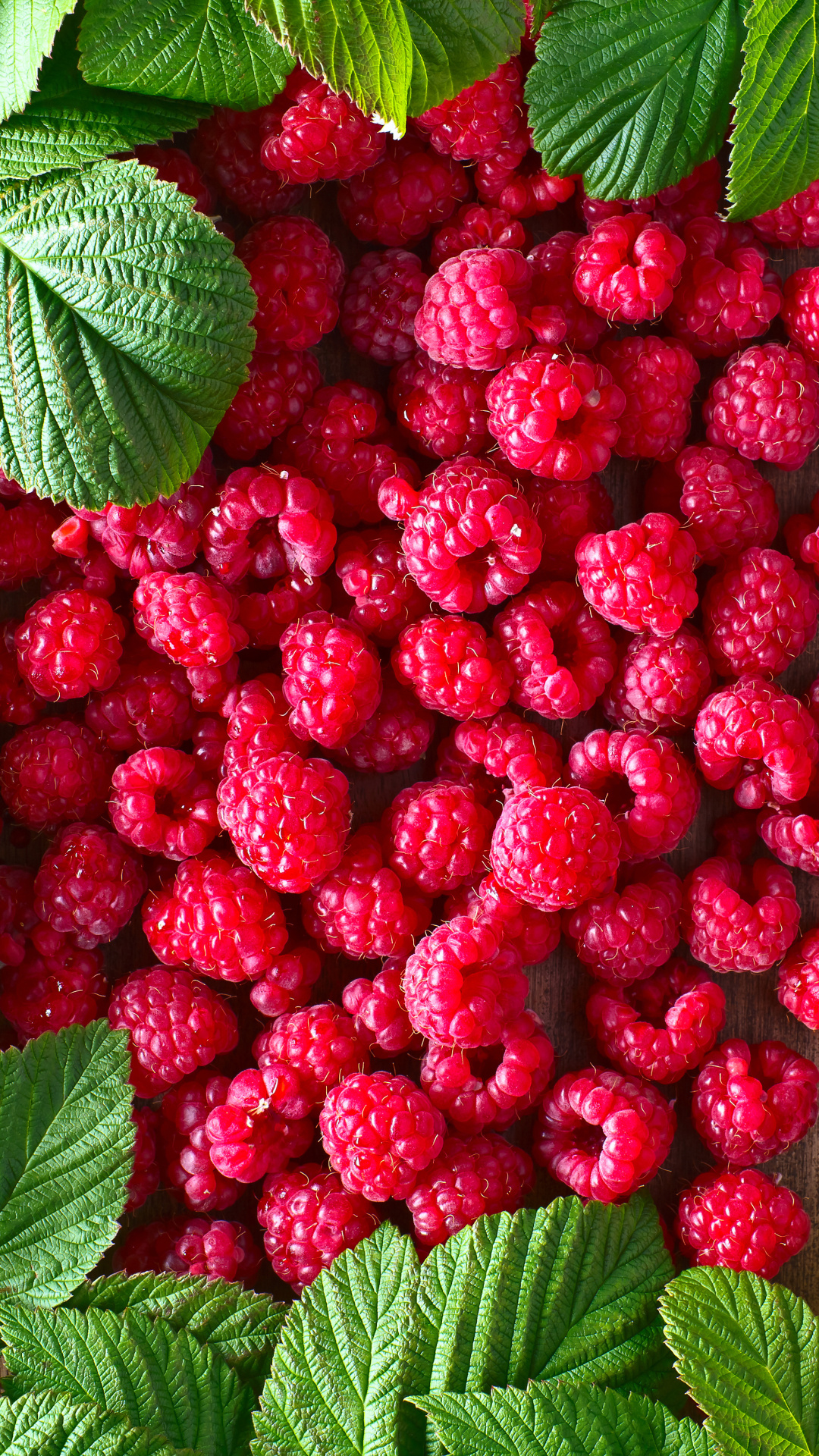 Delicious raspberry dish, Fruity delight, Bursting with flavor, Sweet and tangy, 1080x1920 Full HD Phone