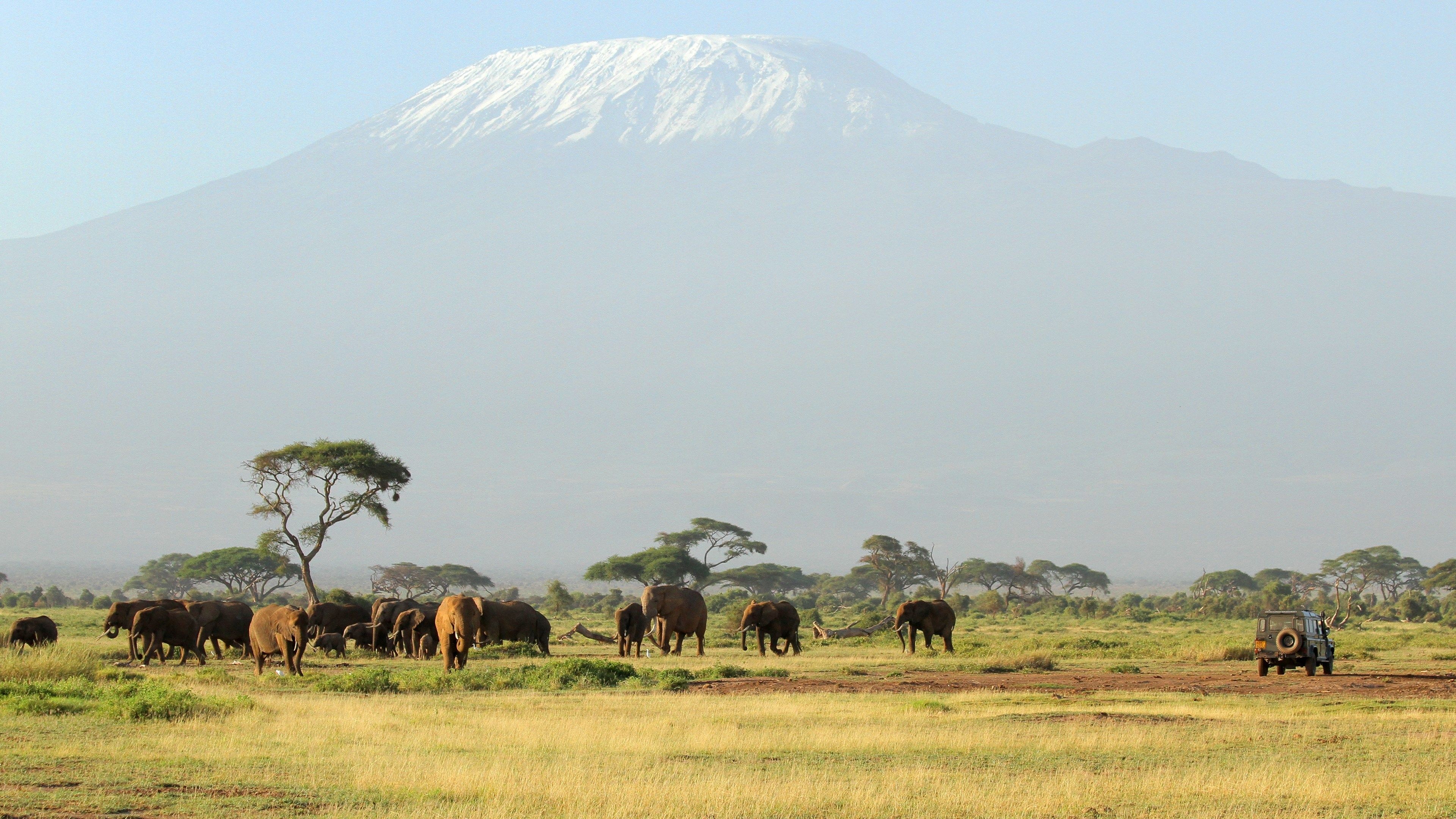 Africa Safari Tour, elephant pictures, savannah chat, 3840x2160 4K Desktop
